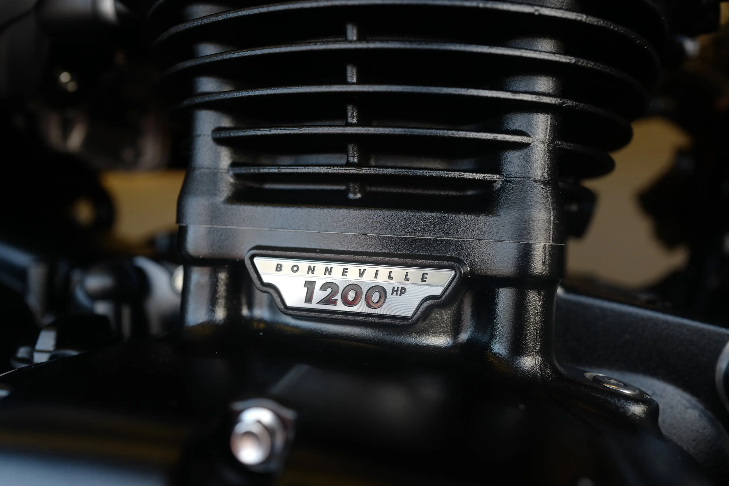 L1140136.JPG