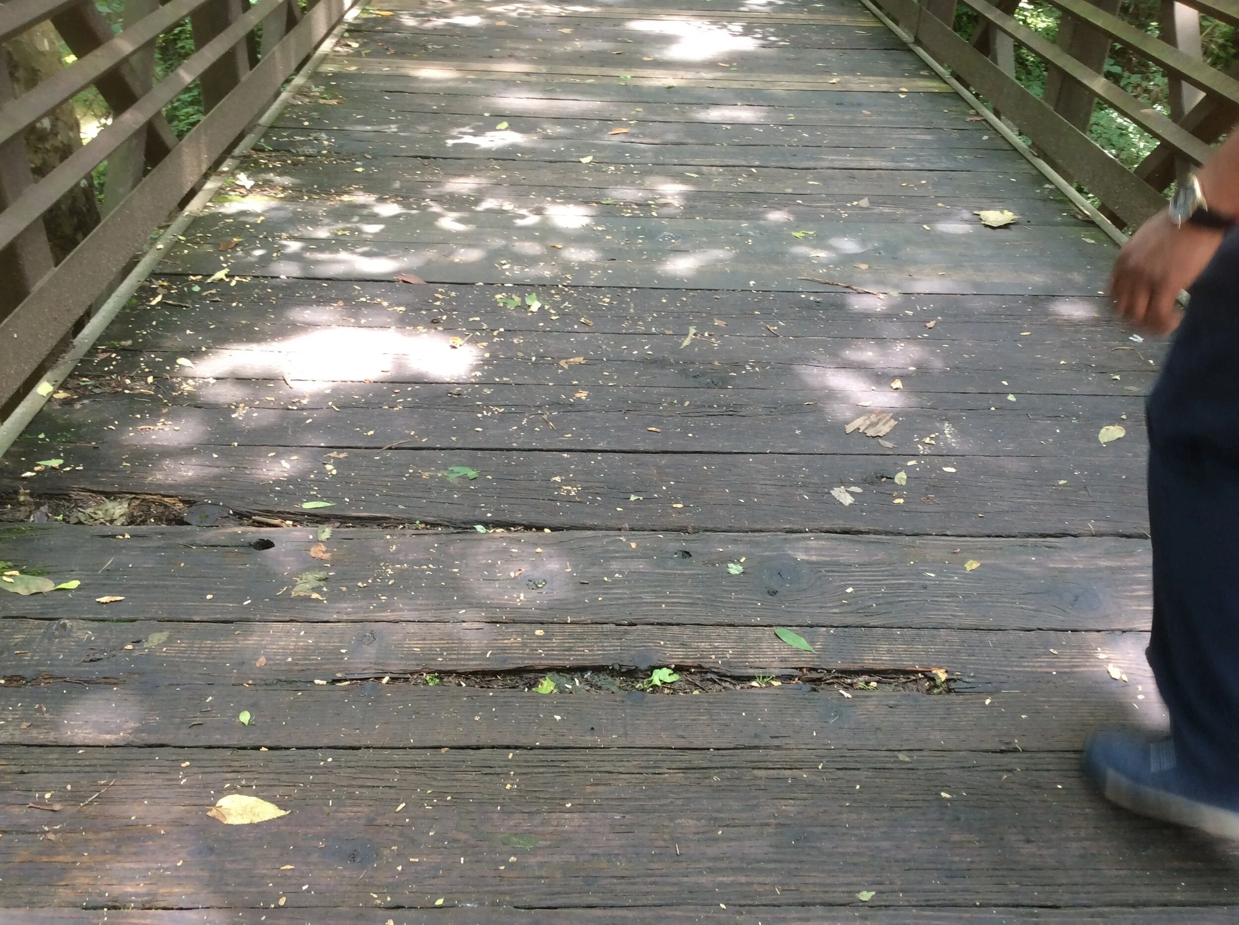 Bridge + Greenway Assessment - Metro Nashville, TN