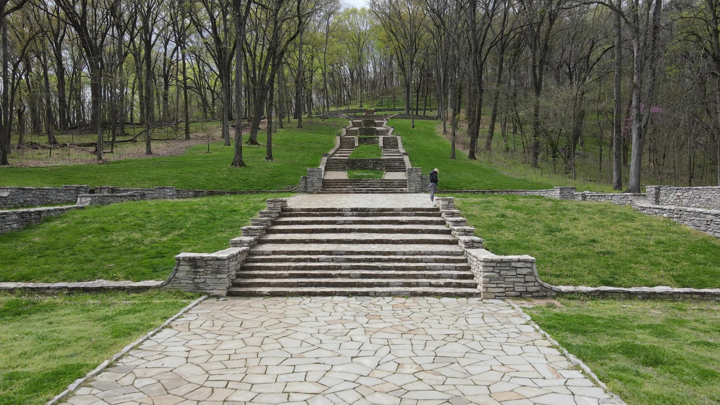 Percy Warner Park Allée - Nashville, TN.