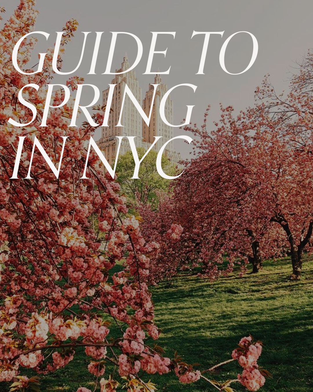 spring-nyc.png