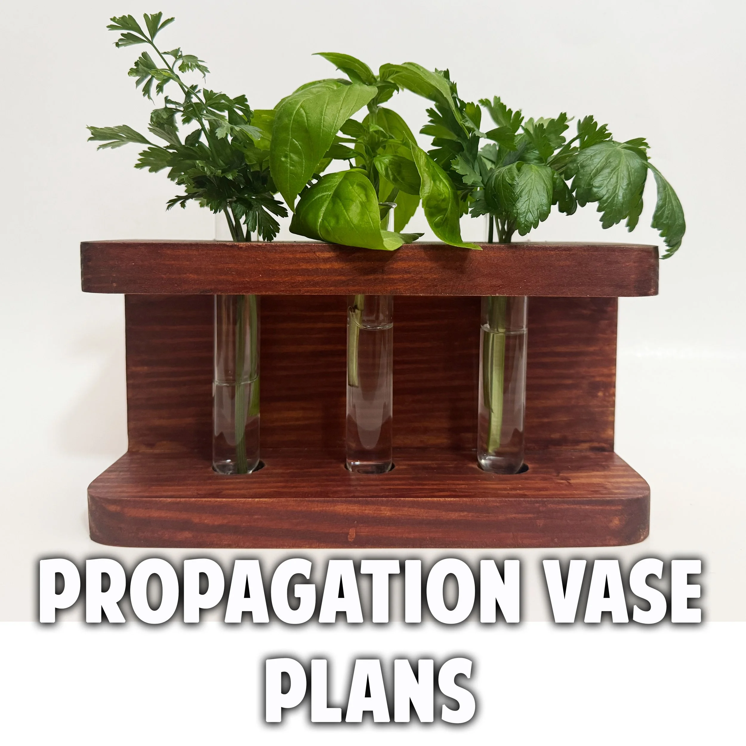Propagation Vase Plans copy2.jpg