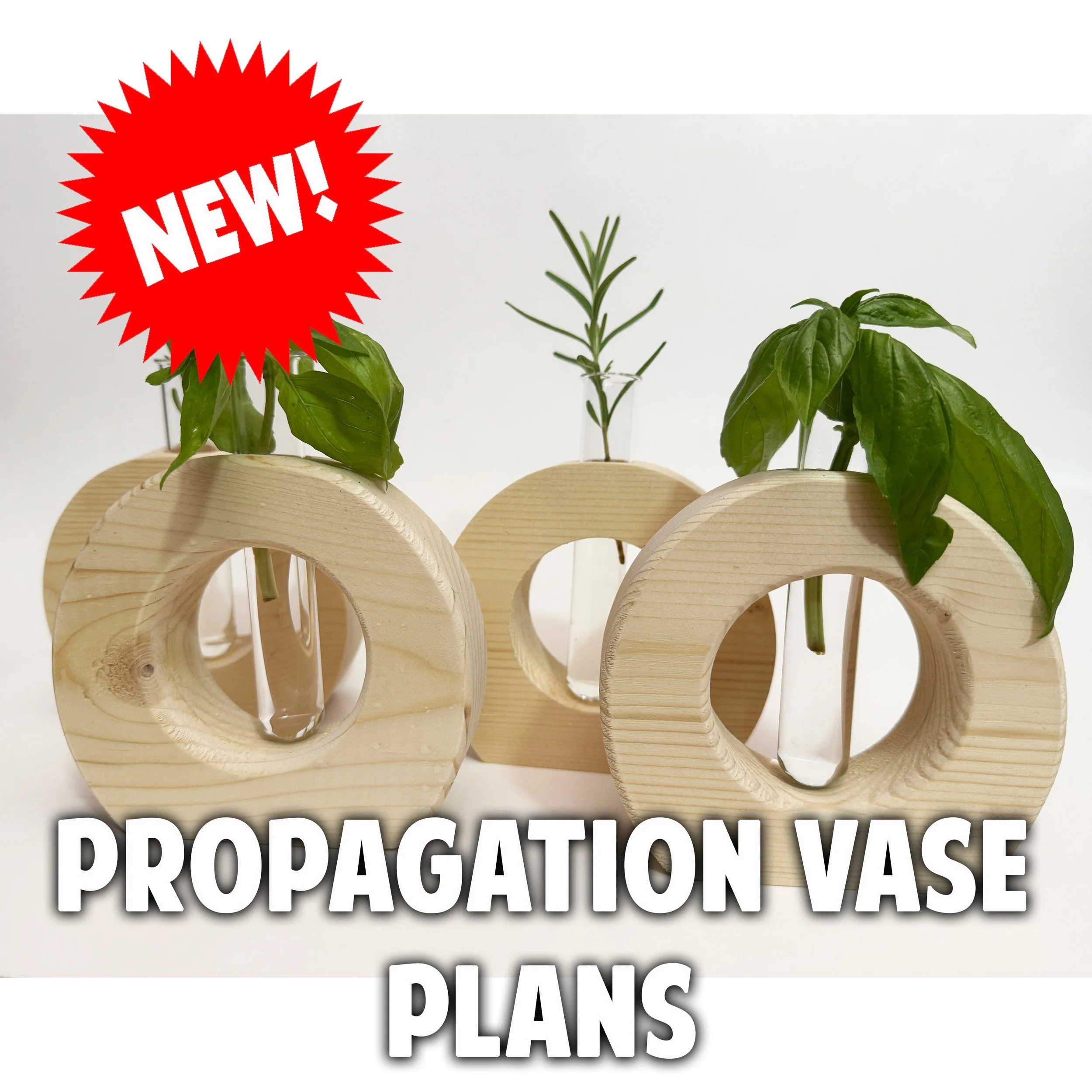 Propagation Vase Plans copy.jpg
