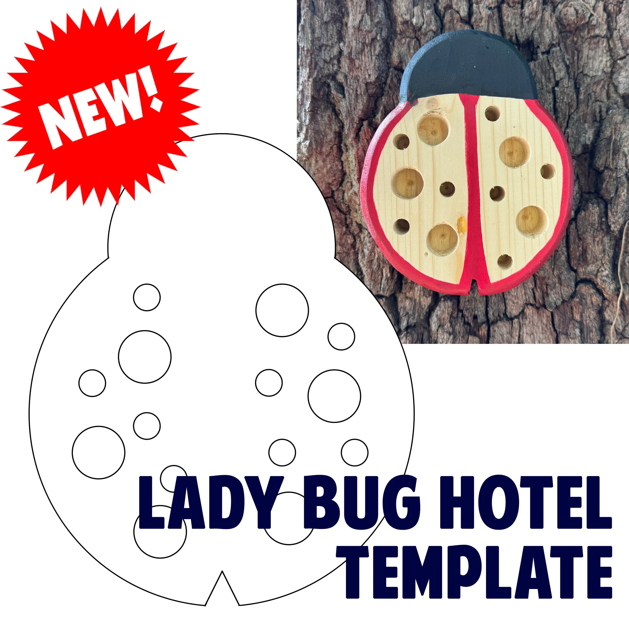 Lady Bug Hotel copy.jpg