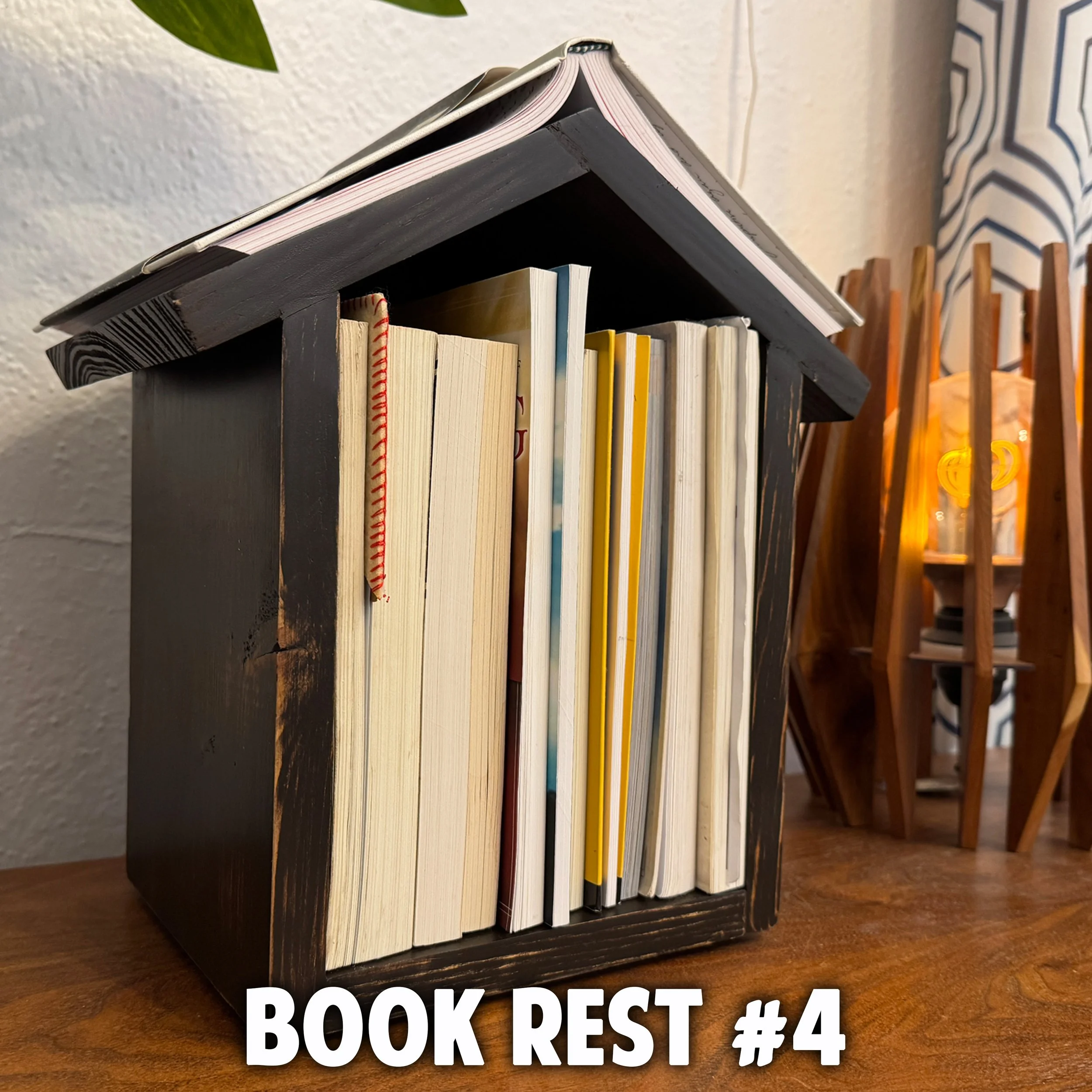 Book Rest #4.jpg