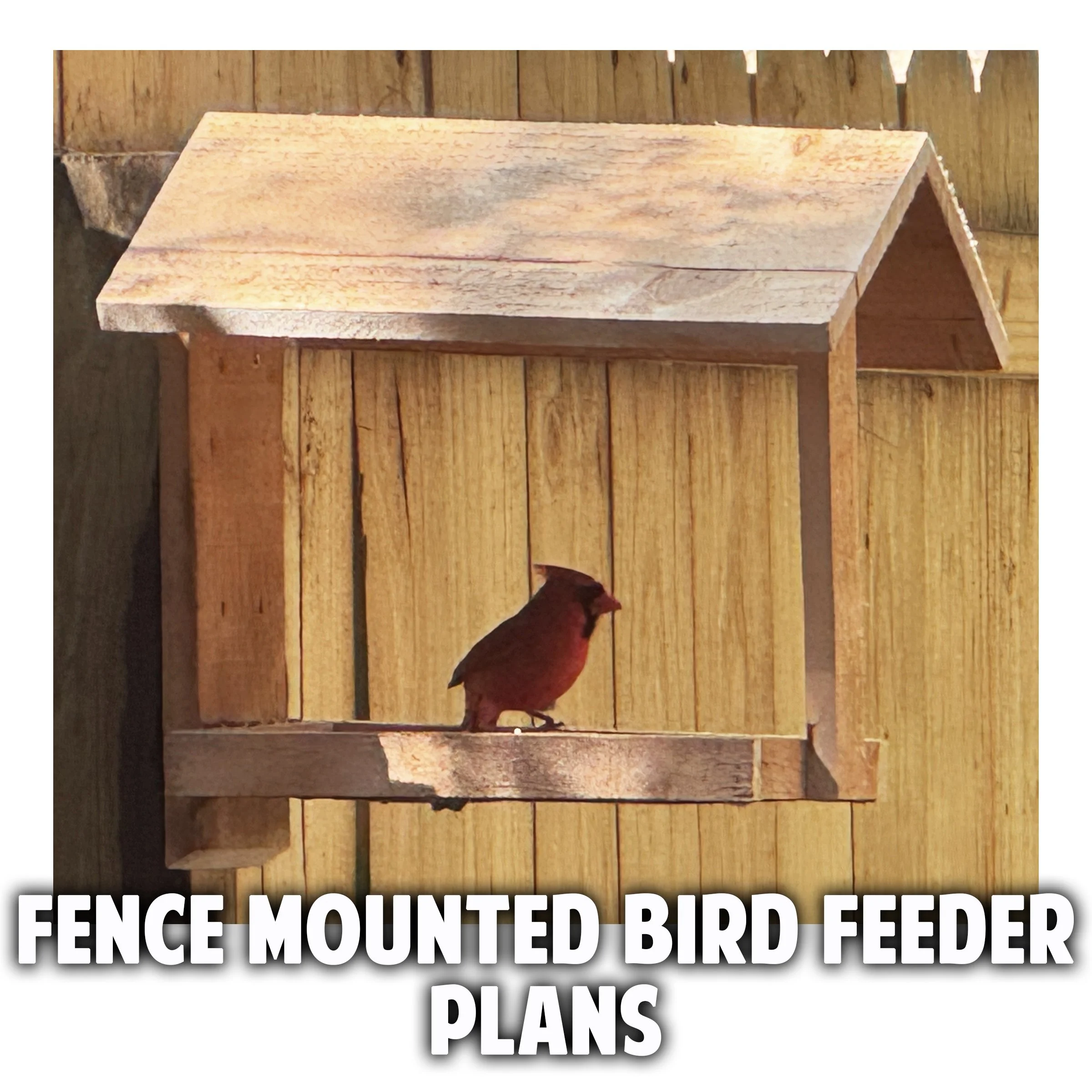 Fence Mounted Bird Feeder Plans