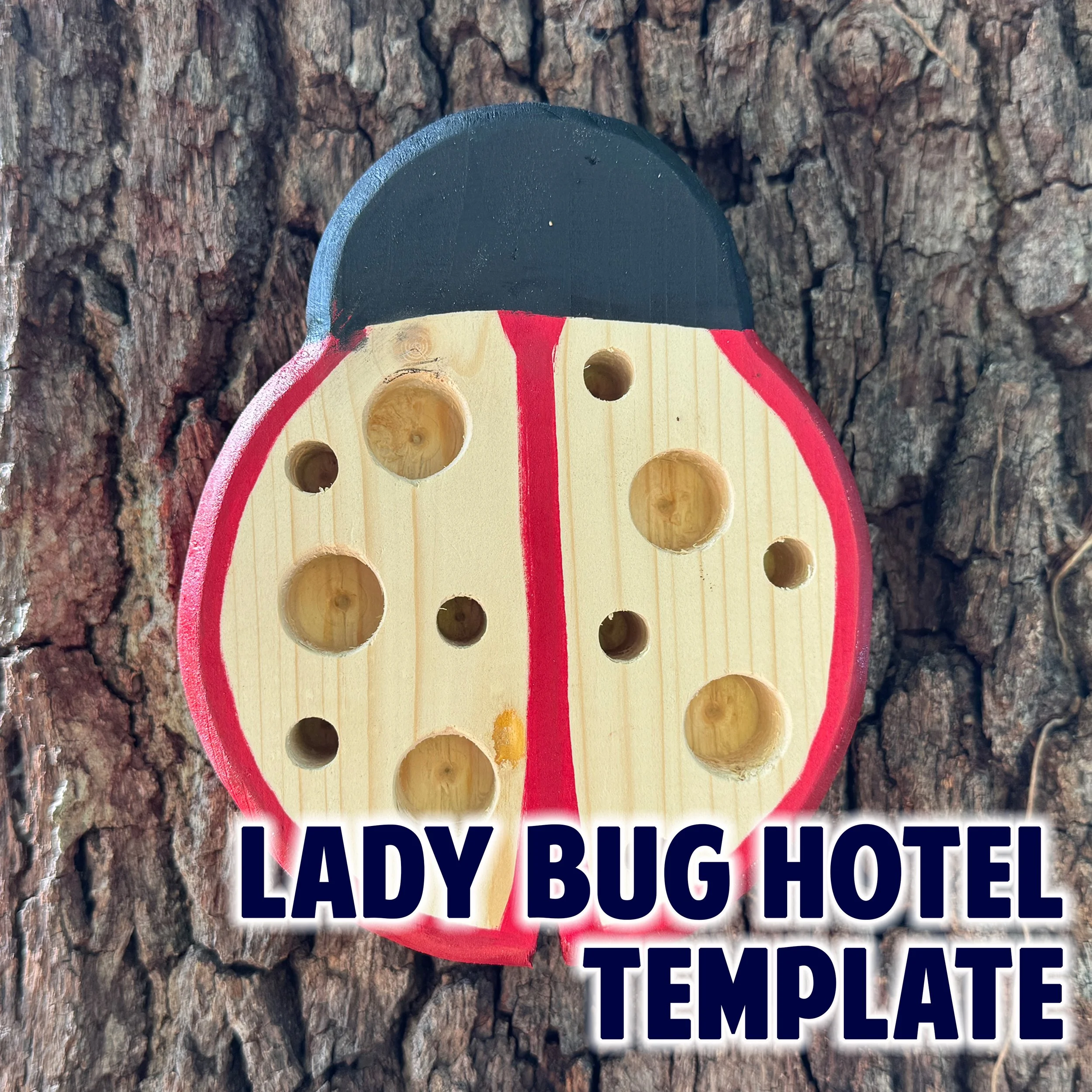 Lady Bug Hotel copy2.jpg
