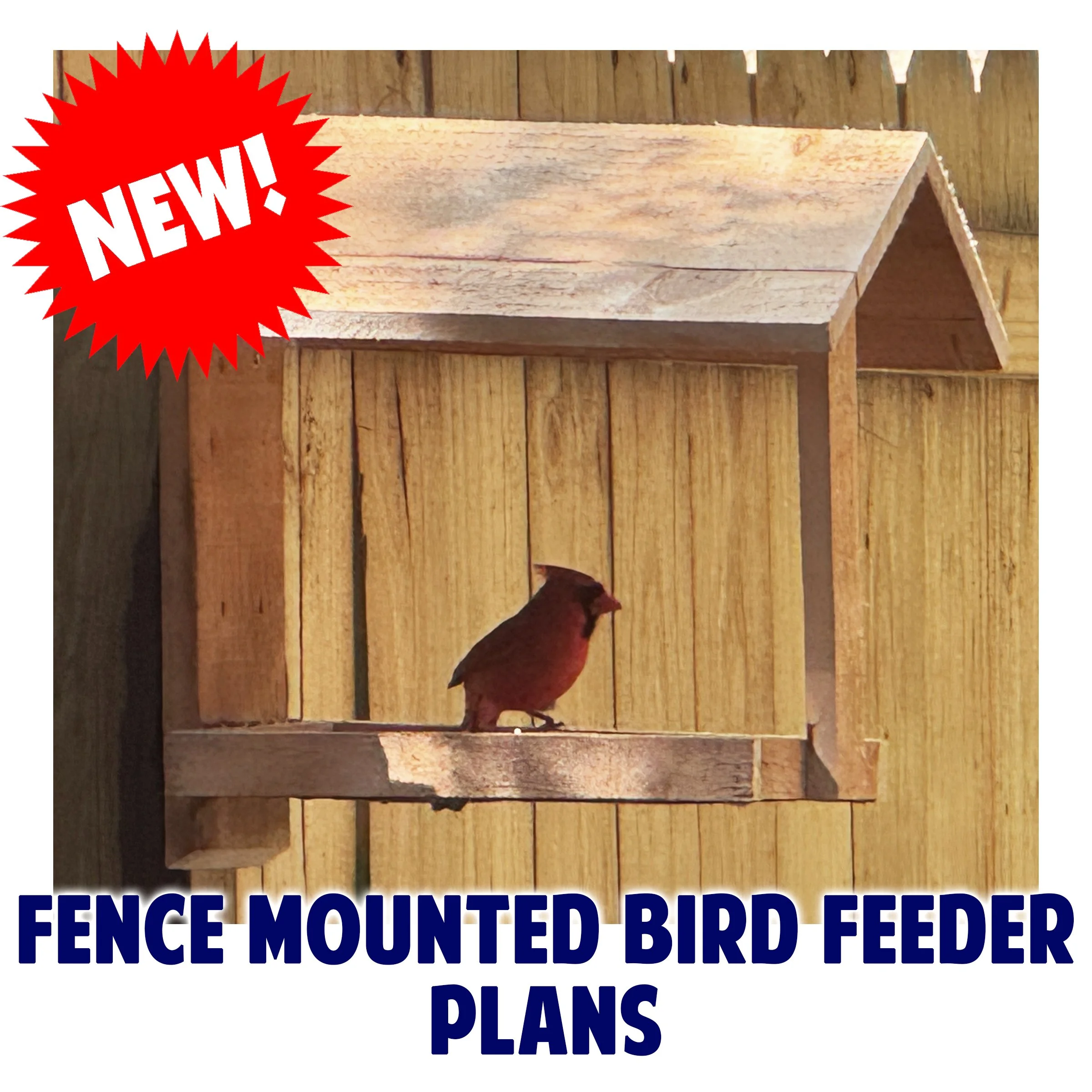 Fence Mounted Bird Feeder copy.jpg