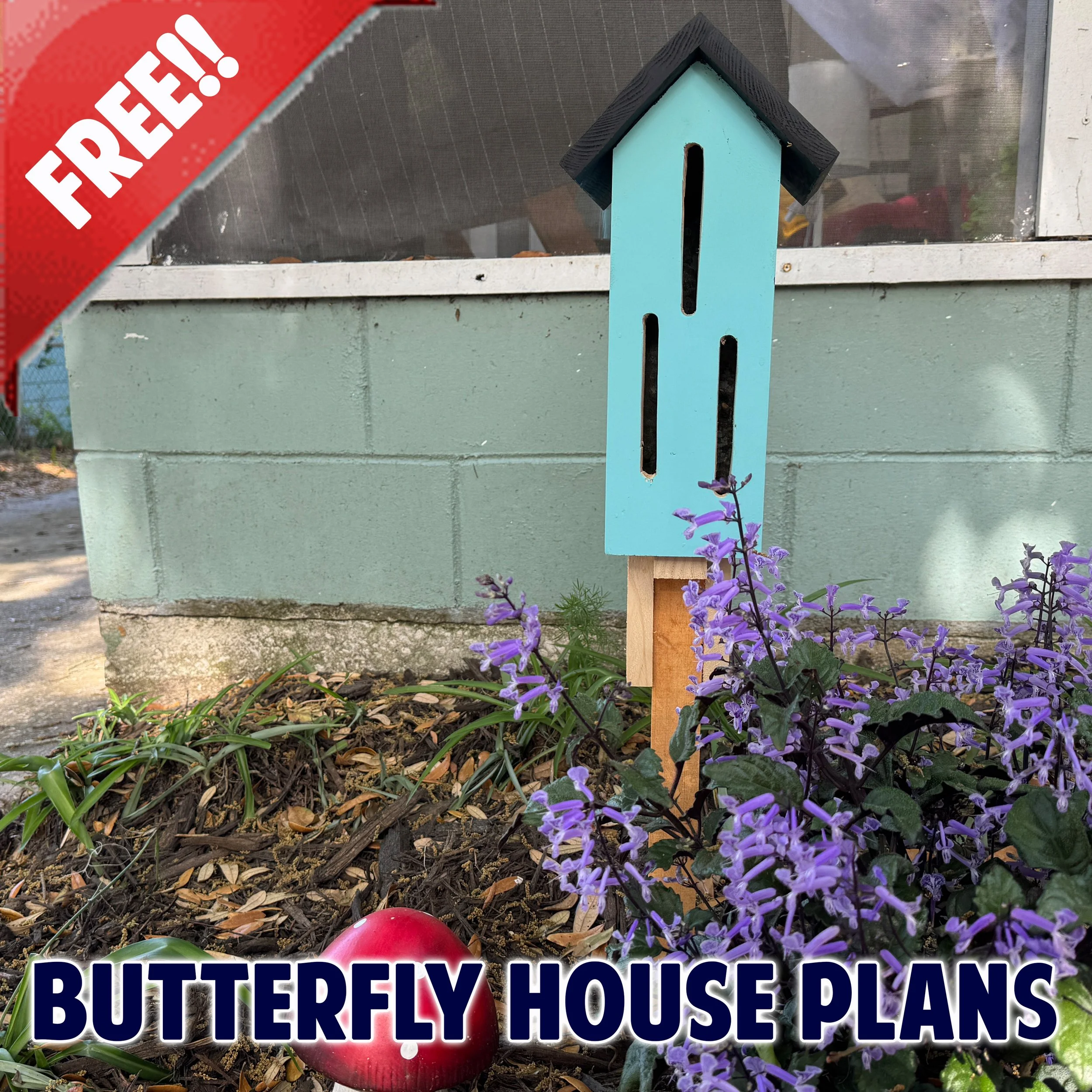 Butterfly House Plans