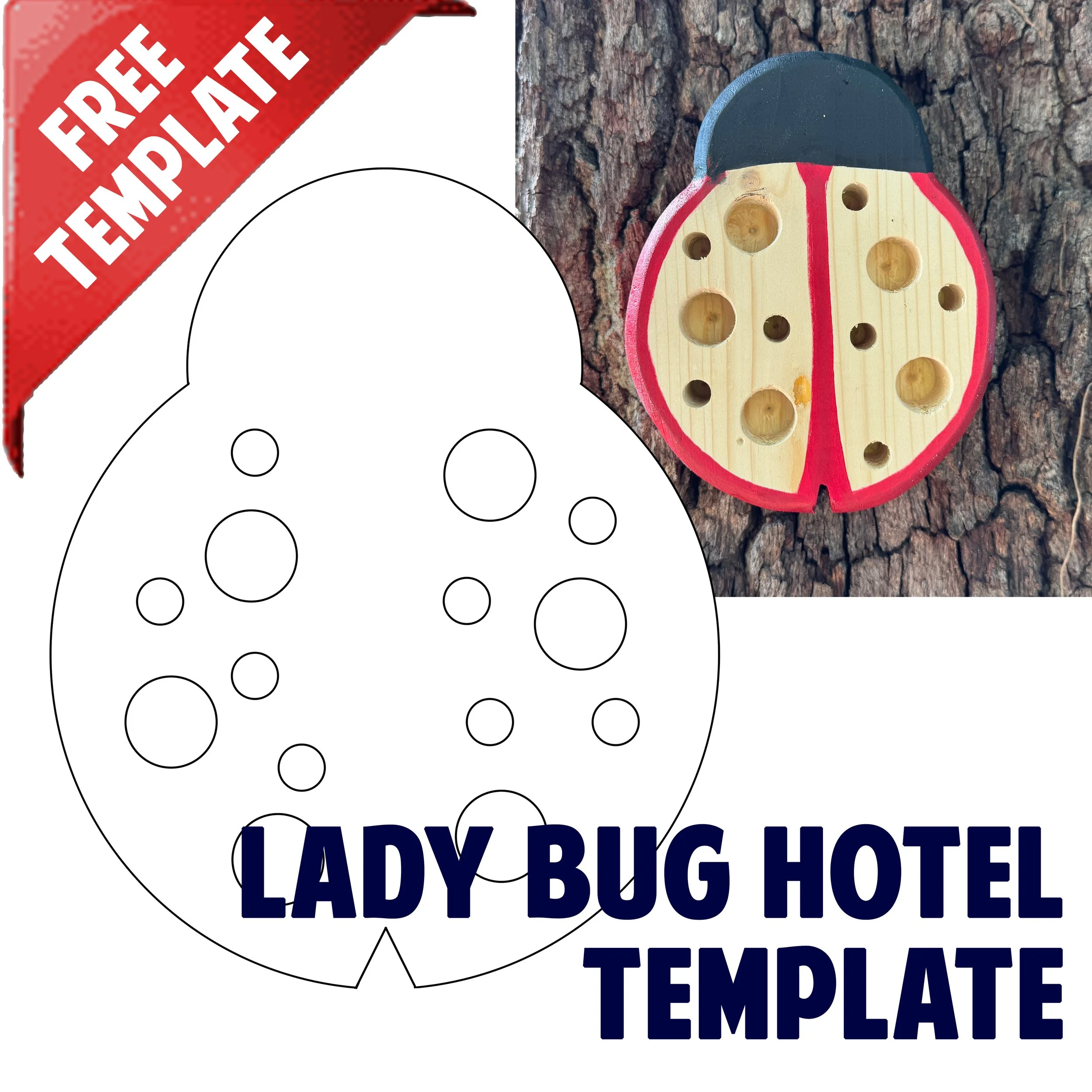 Lady Bug Hotel copy.jpg