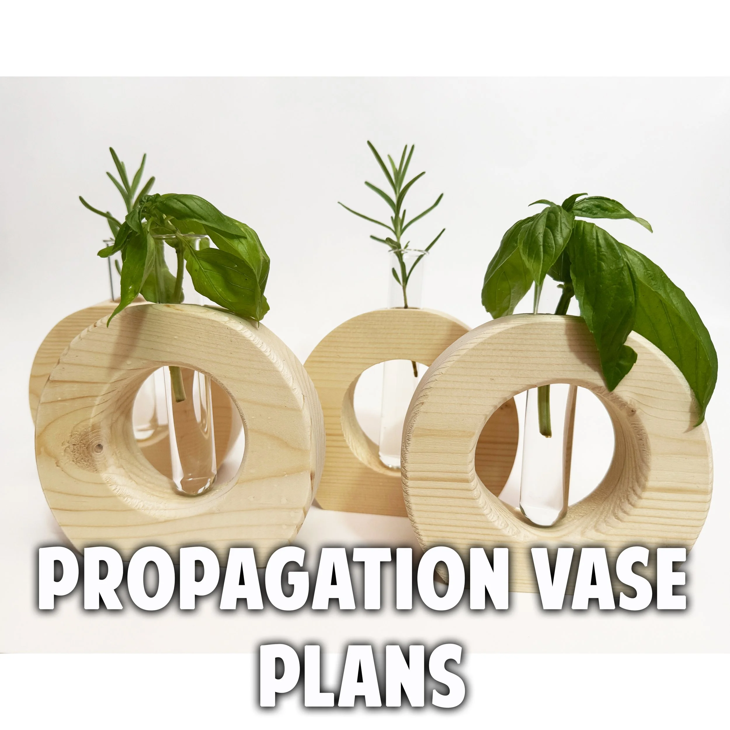 Propagation Vase Plans copy3.jpg