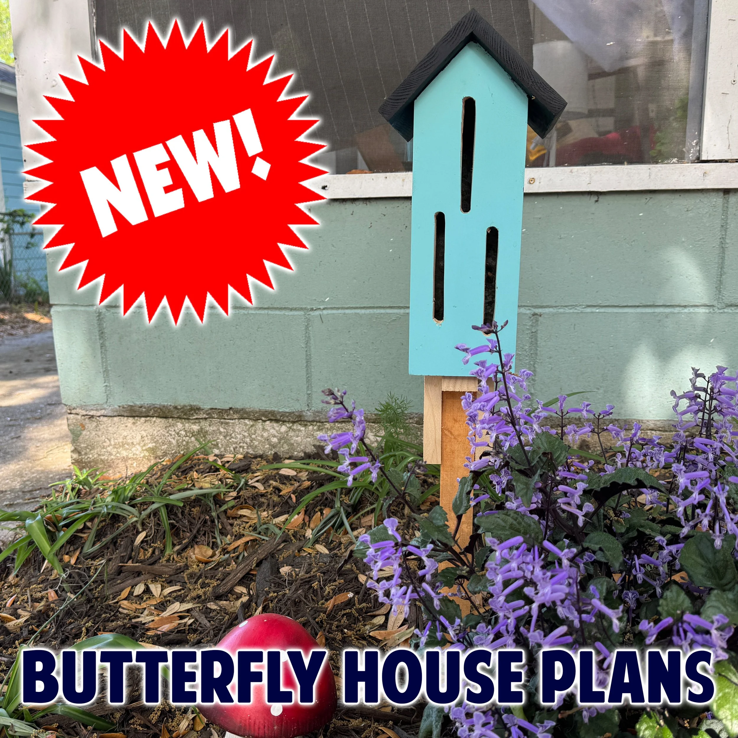 Butterfly House copy1.jpg