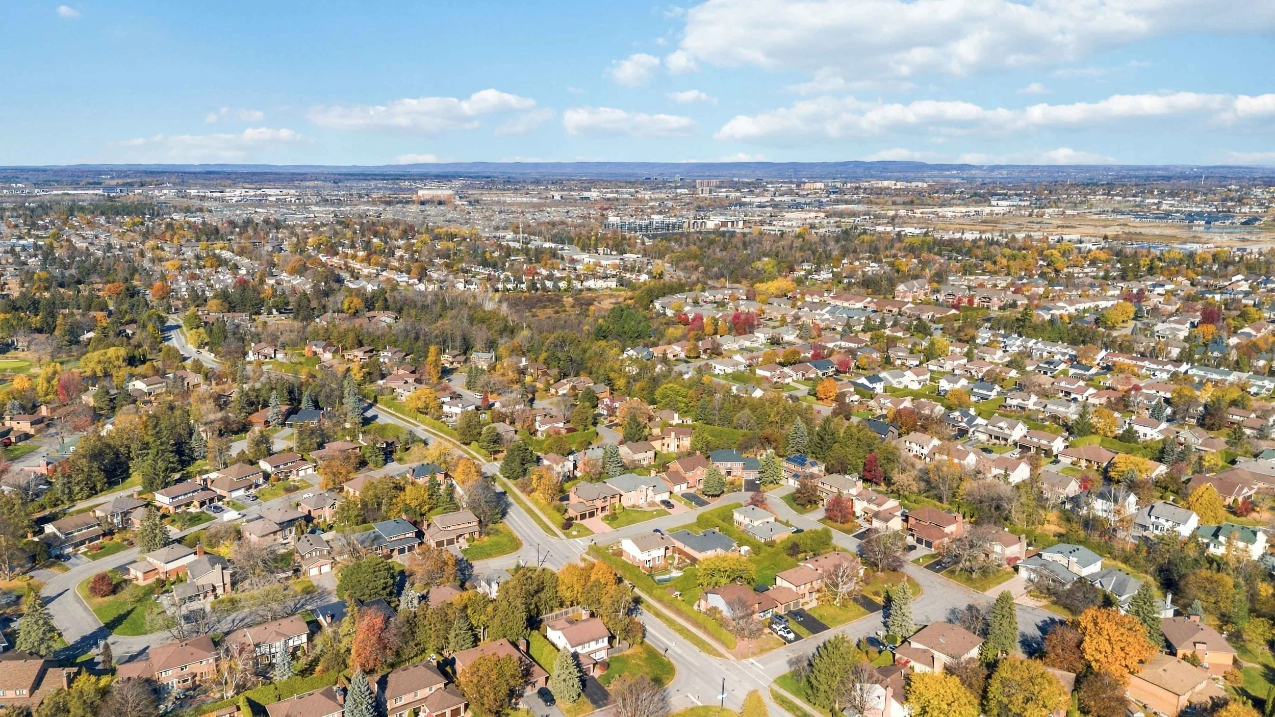 013_1.jpg