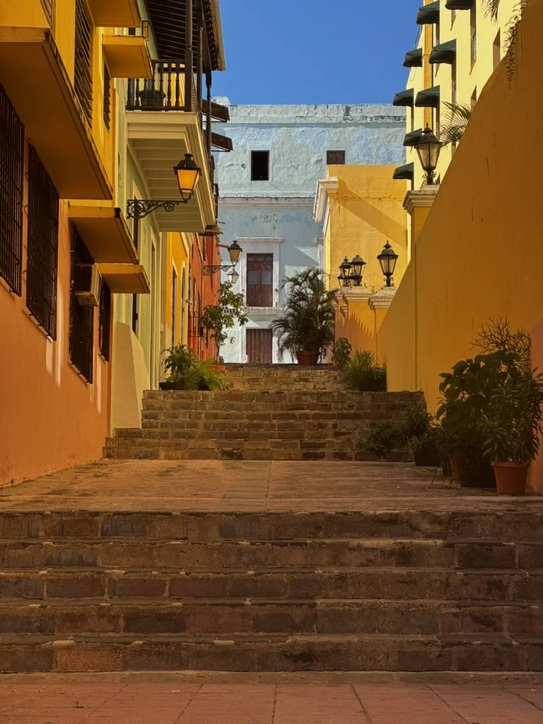 DA495141-B449-4FB2-8D6E-476DC5FA6C21_1_105_c.jpeg