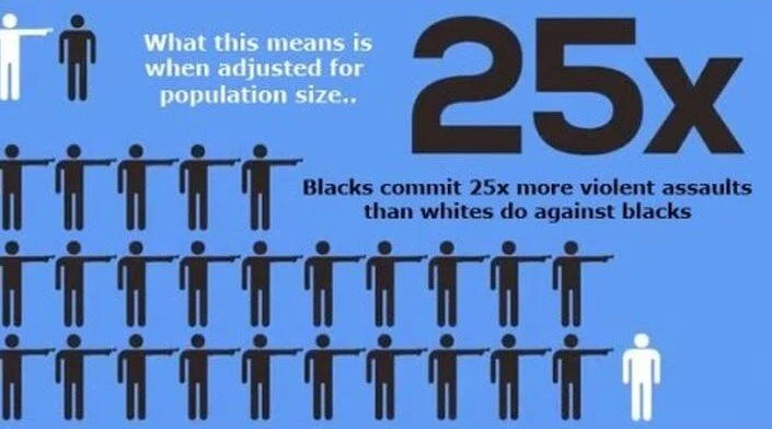Don't perpetuate the “black-on-white crime" propaganda