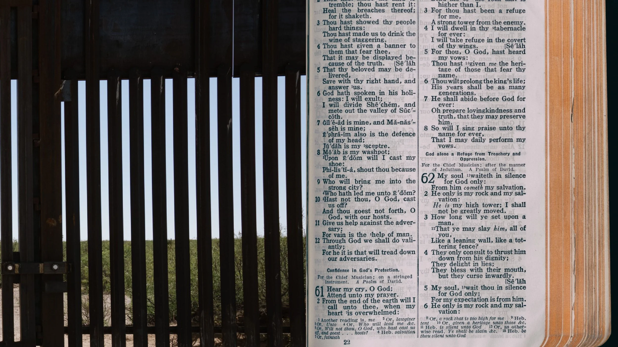 William Wolfe, Immigration, and Props