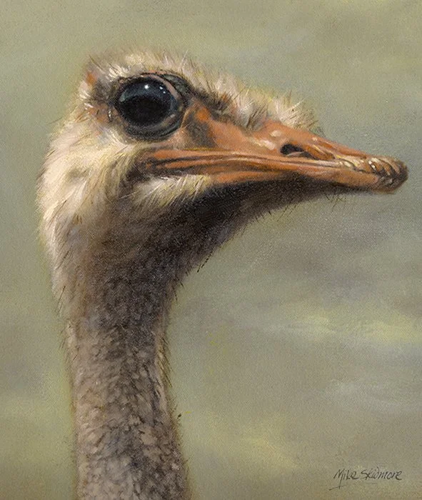 Ostrich portrait in oils by Mike Skidmore