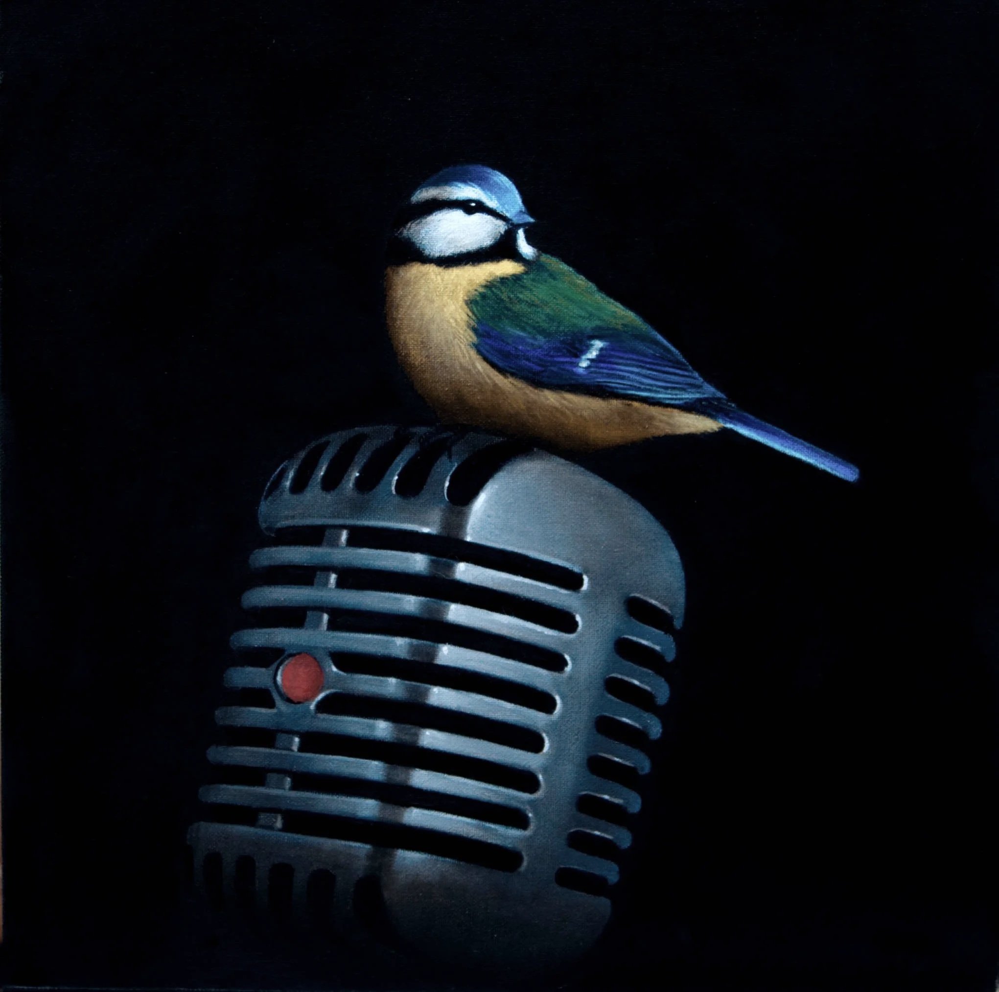 Still life of a blue tit perched on an old blues microphone.