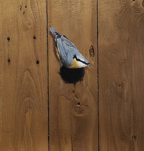 Oil painting of a nuthatch bird perched on bare recycled wood.