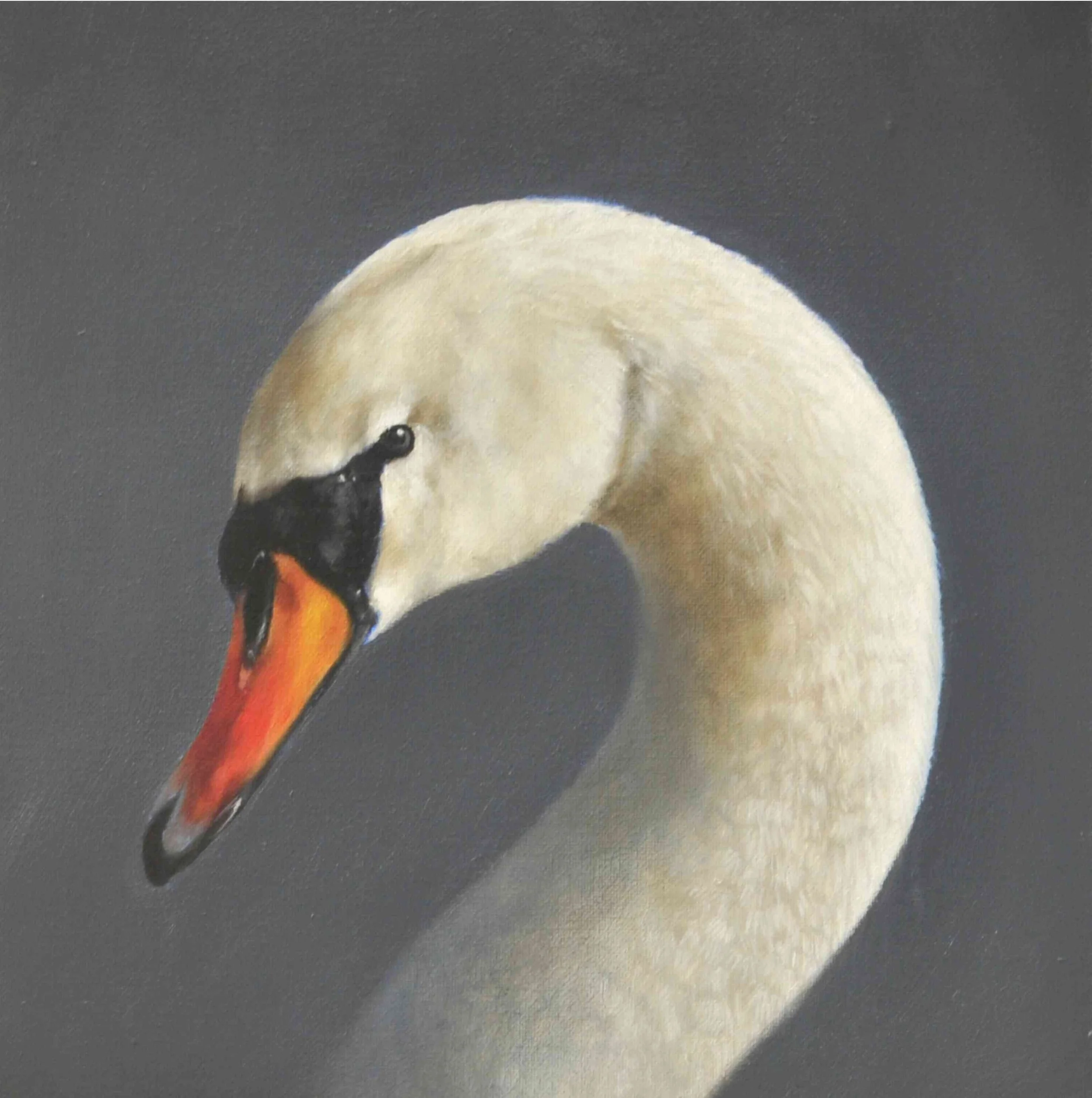 Painting in oils of an elegant swan's neck and head.