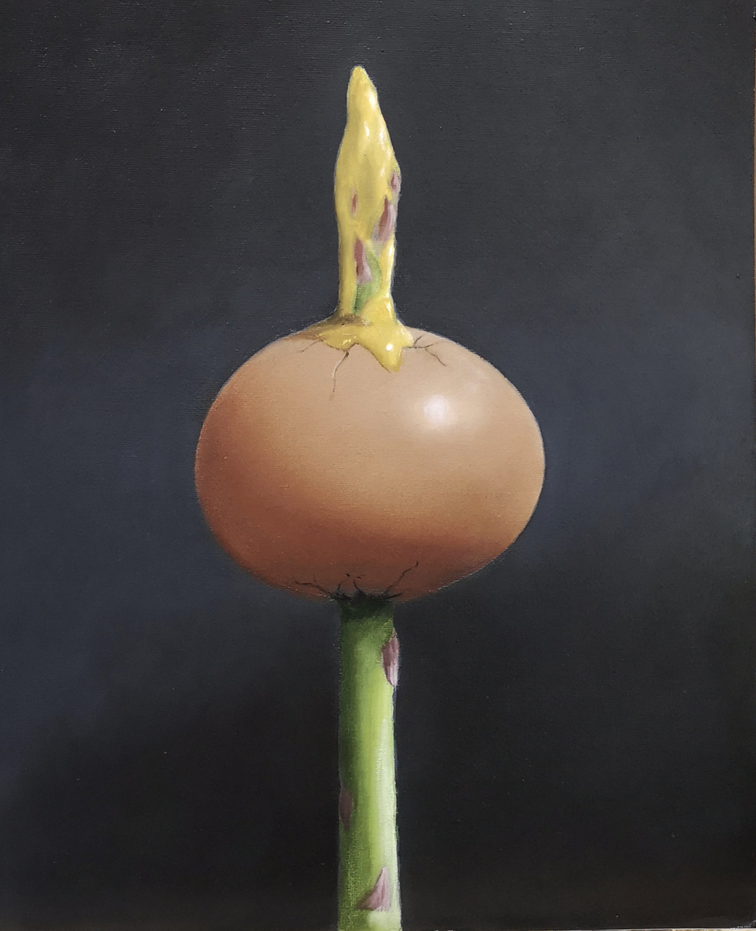 Buy a surreal oil painting of asparagus spearing an eggshell by Mike Skidmore.