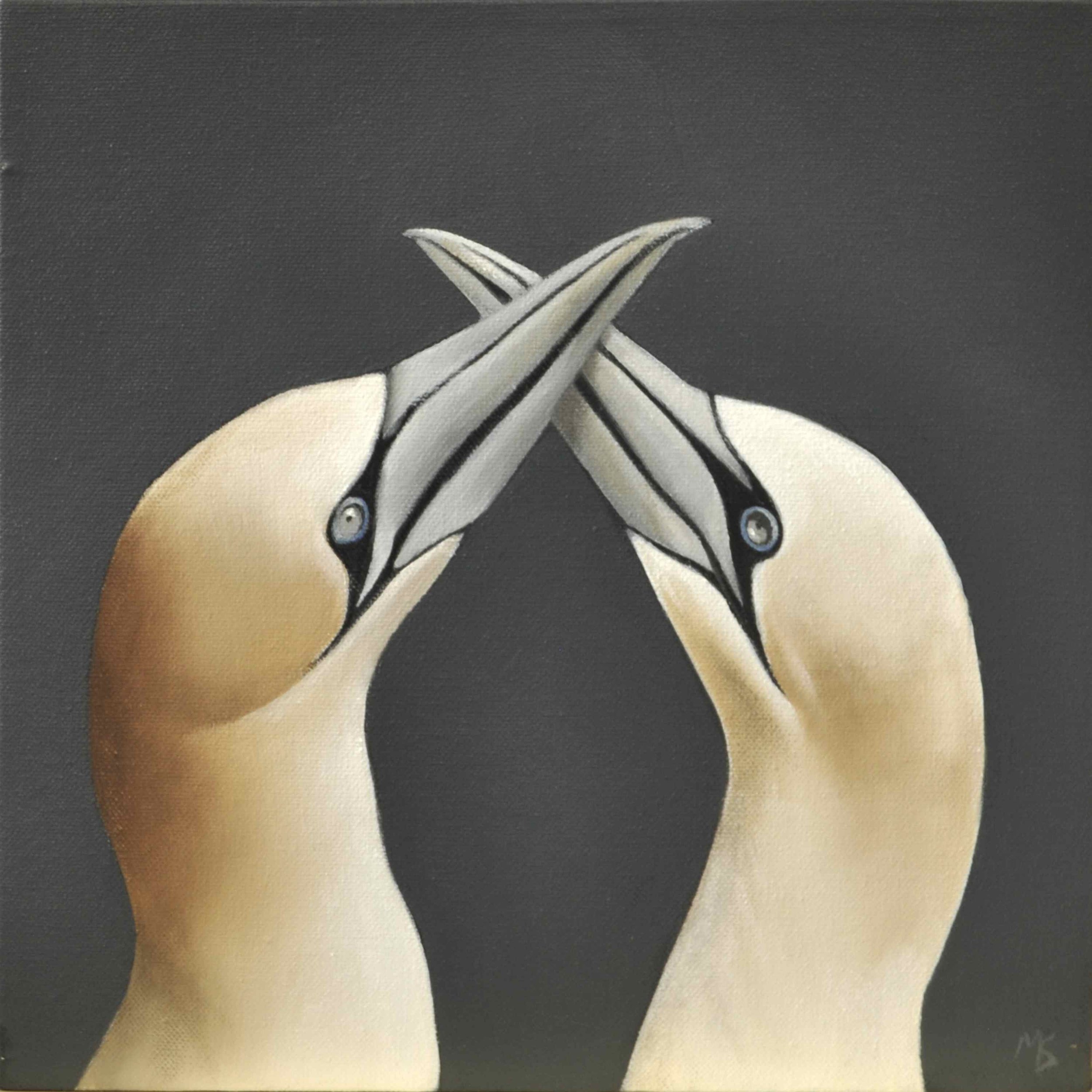 Painting in oils of two gannets in courtship.