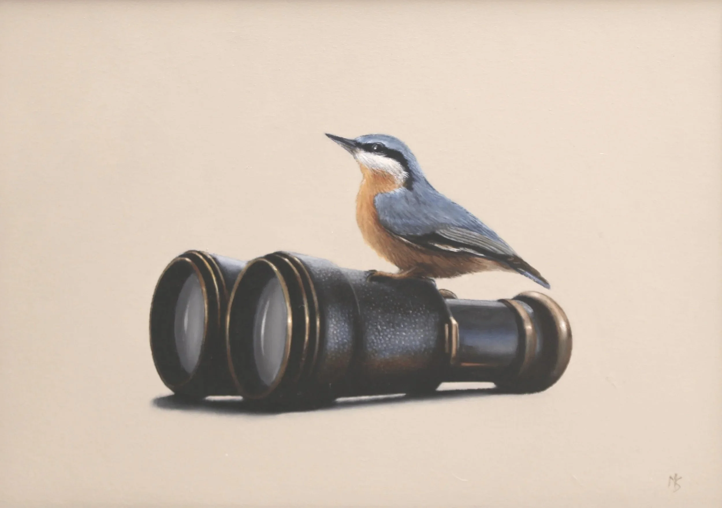 Buy an oil painting of a nuthatch and binoculars by Mike Skidmore.