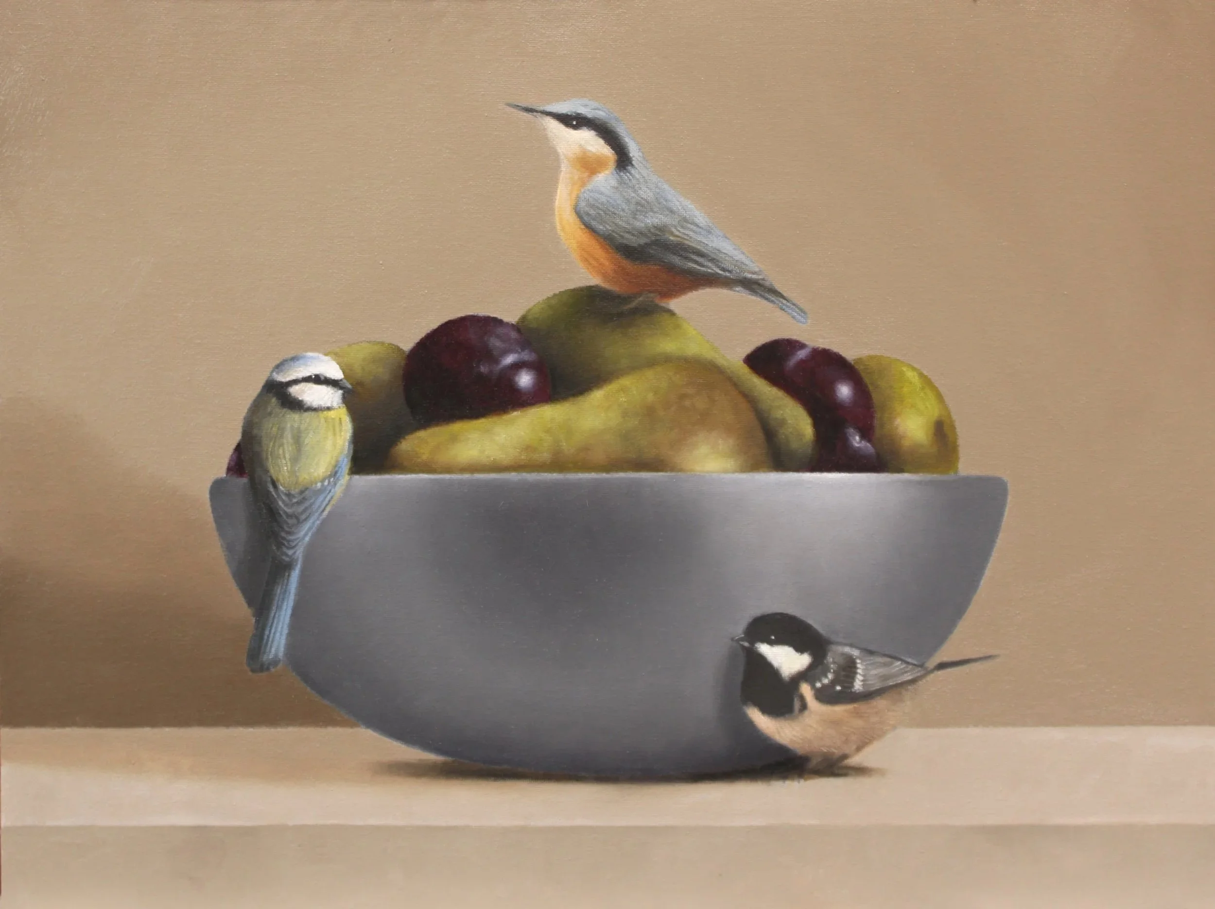 Buy an oil painting of a nuthatch, blue tit and coal tit by Mike Skidmore.