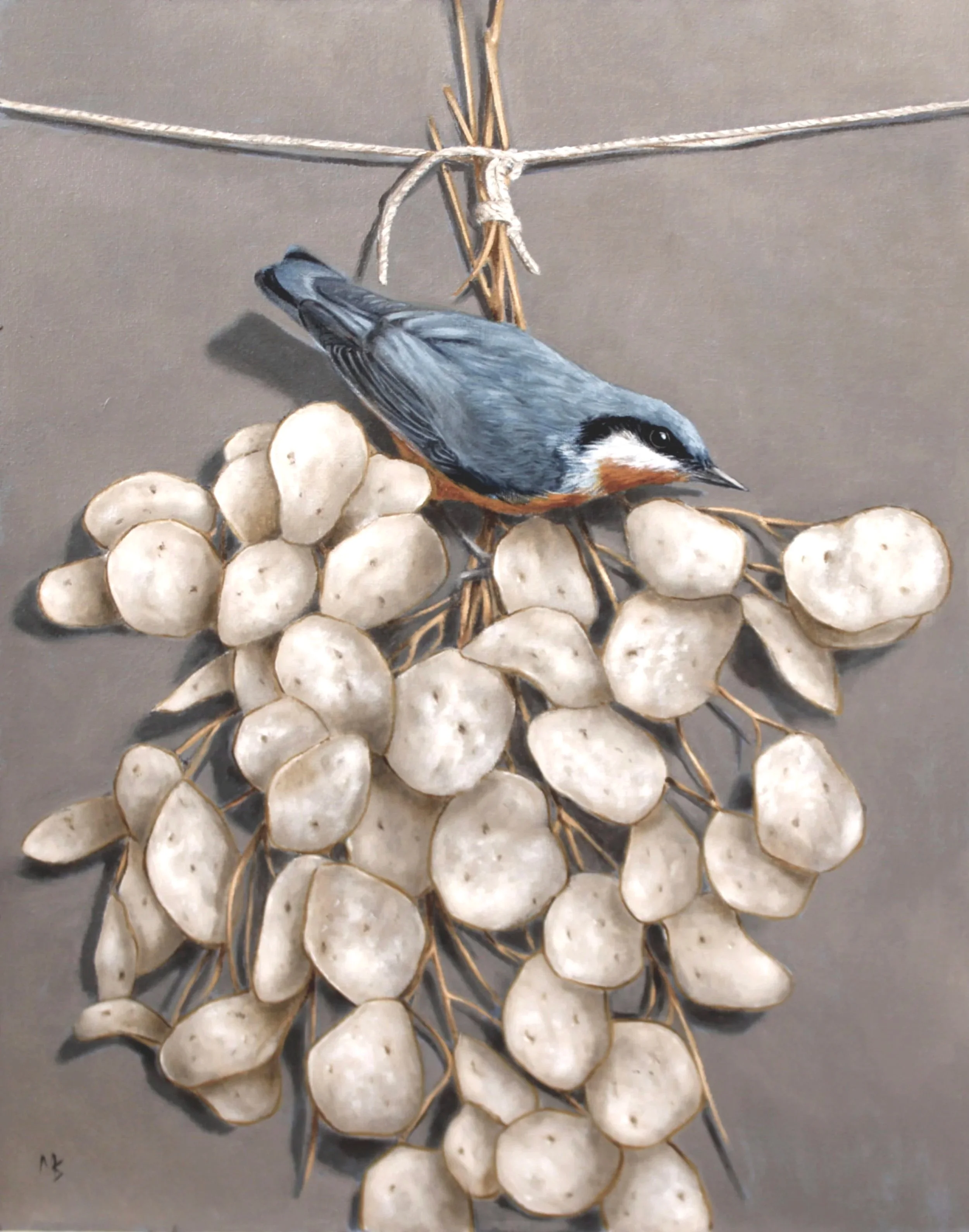 Buy an oil painting of a nuthatch by Mike Skidmore.