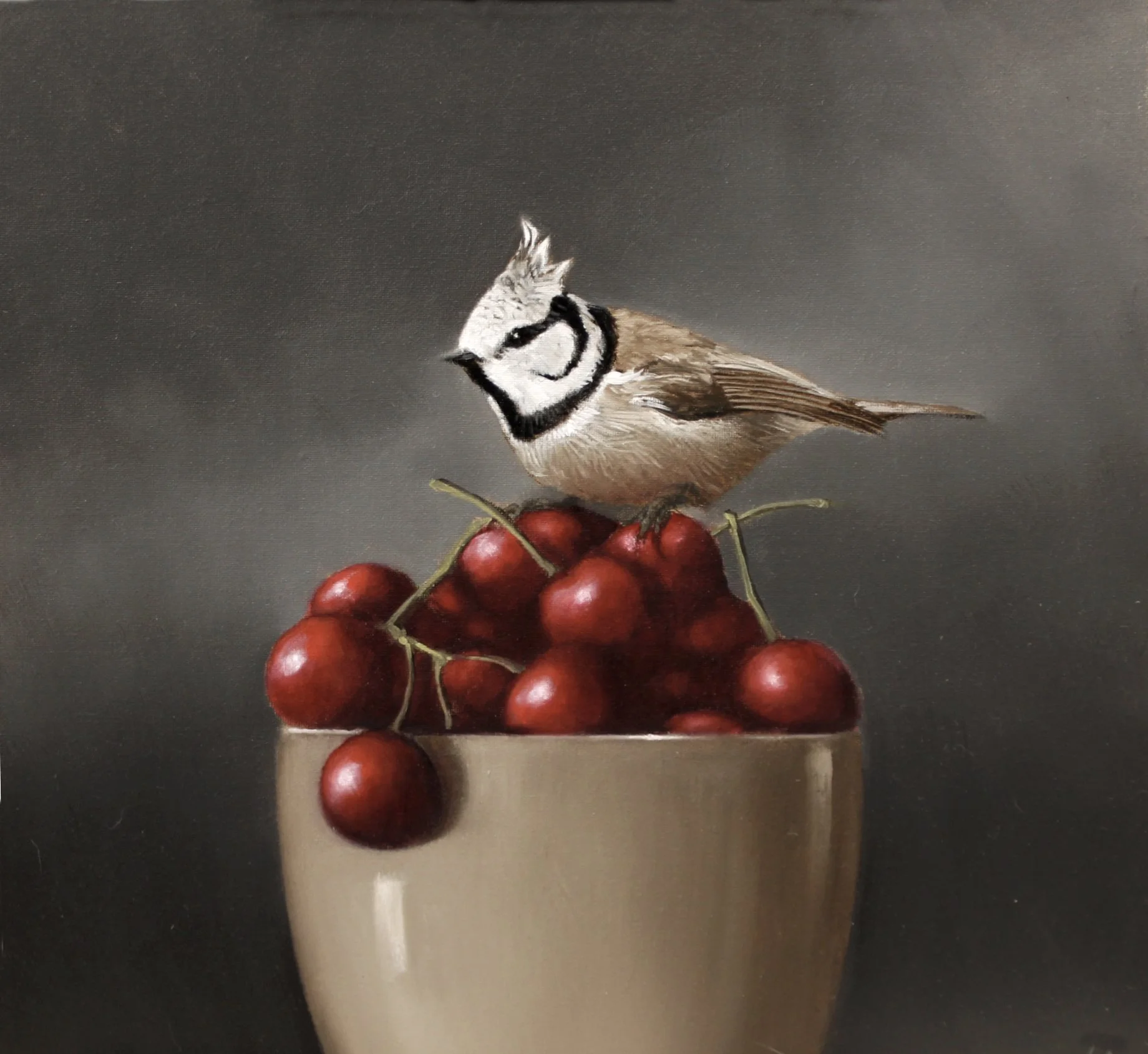 Still life with a crested tit perched on a bowl of cherries.