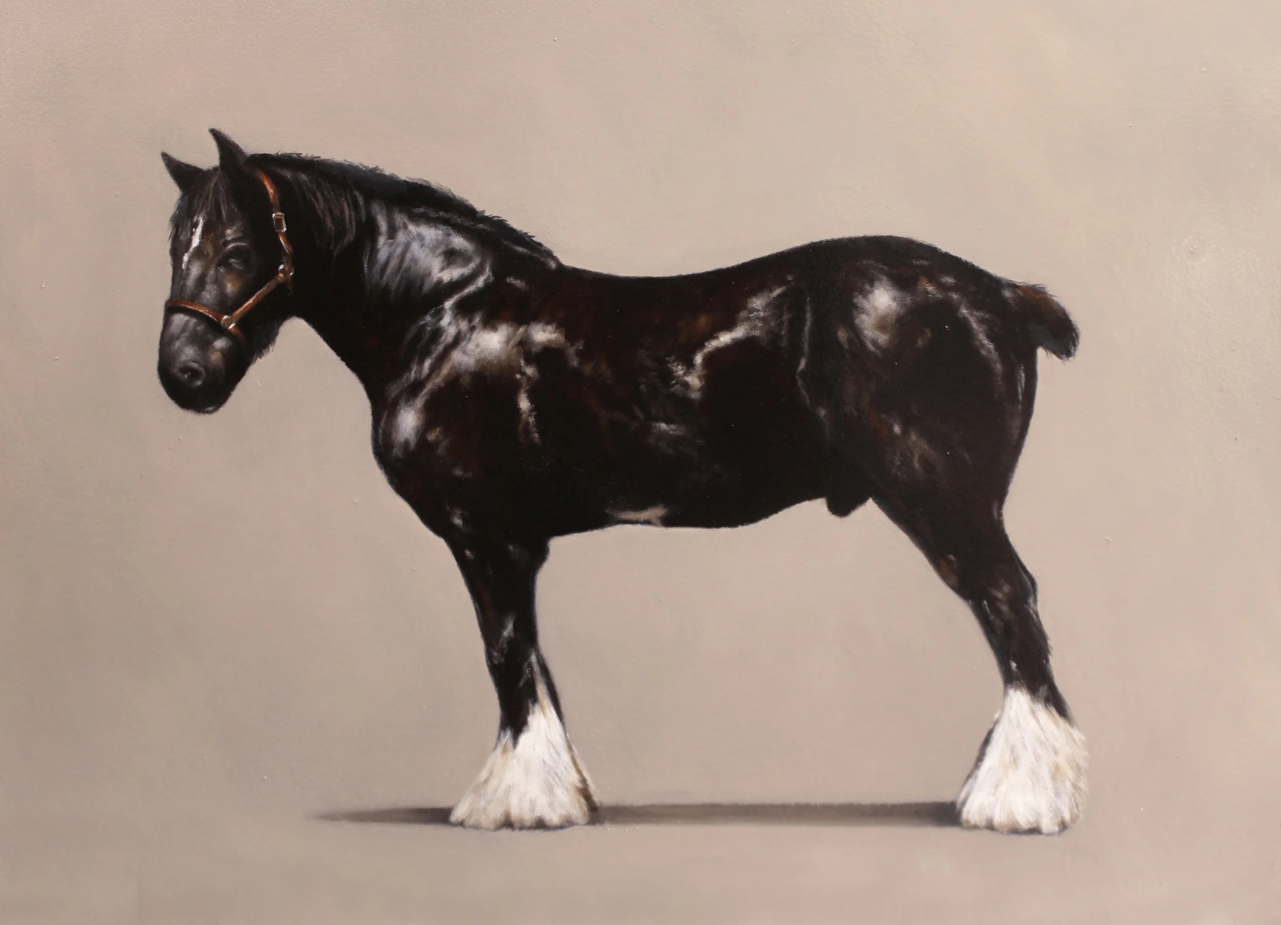 Painting in oils of a shire horse.