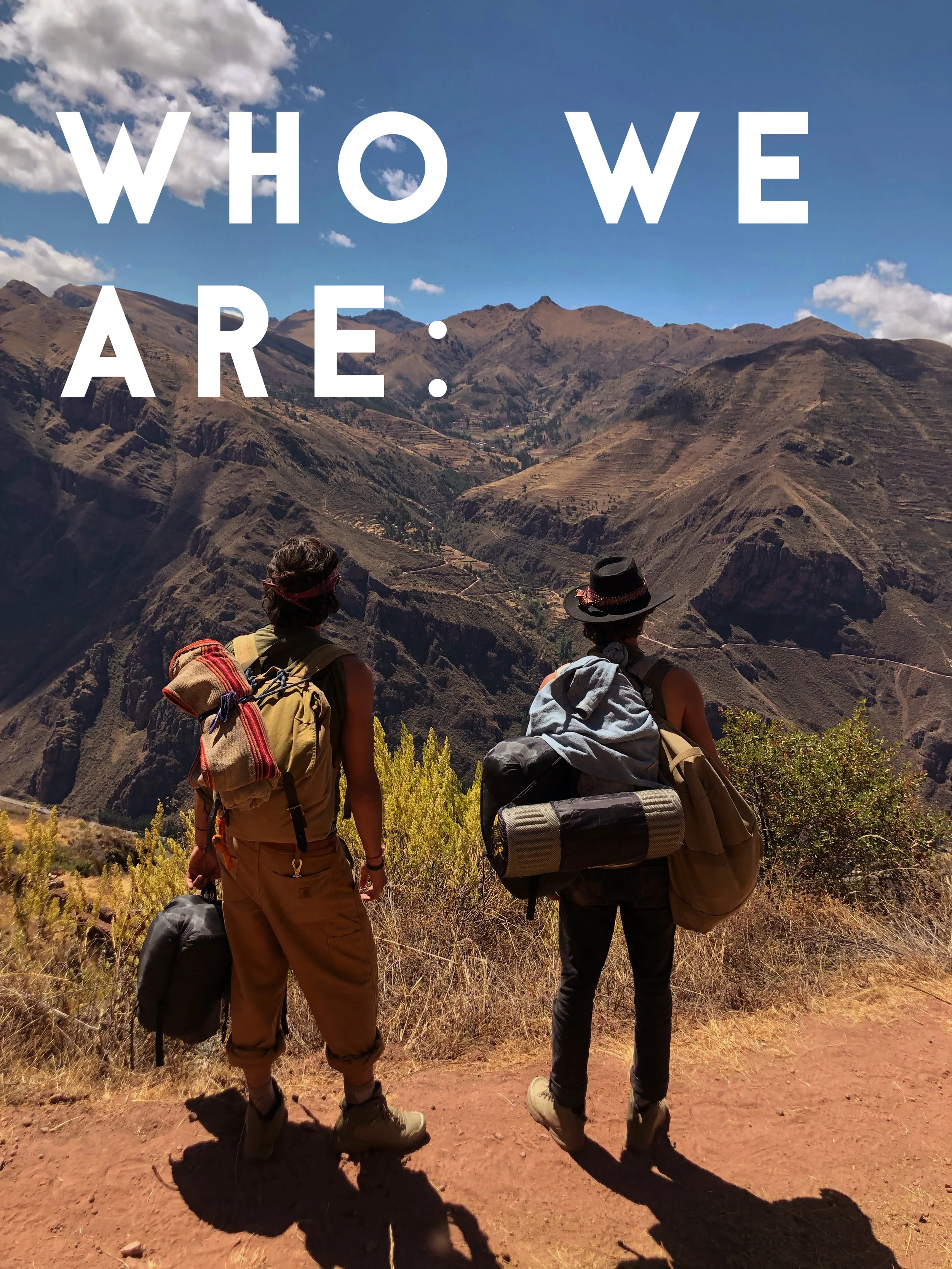 ABOUT THE WAKING APE