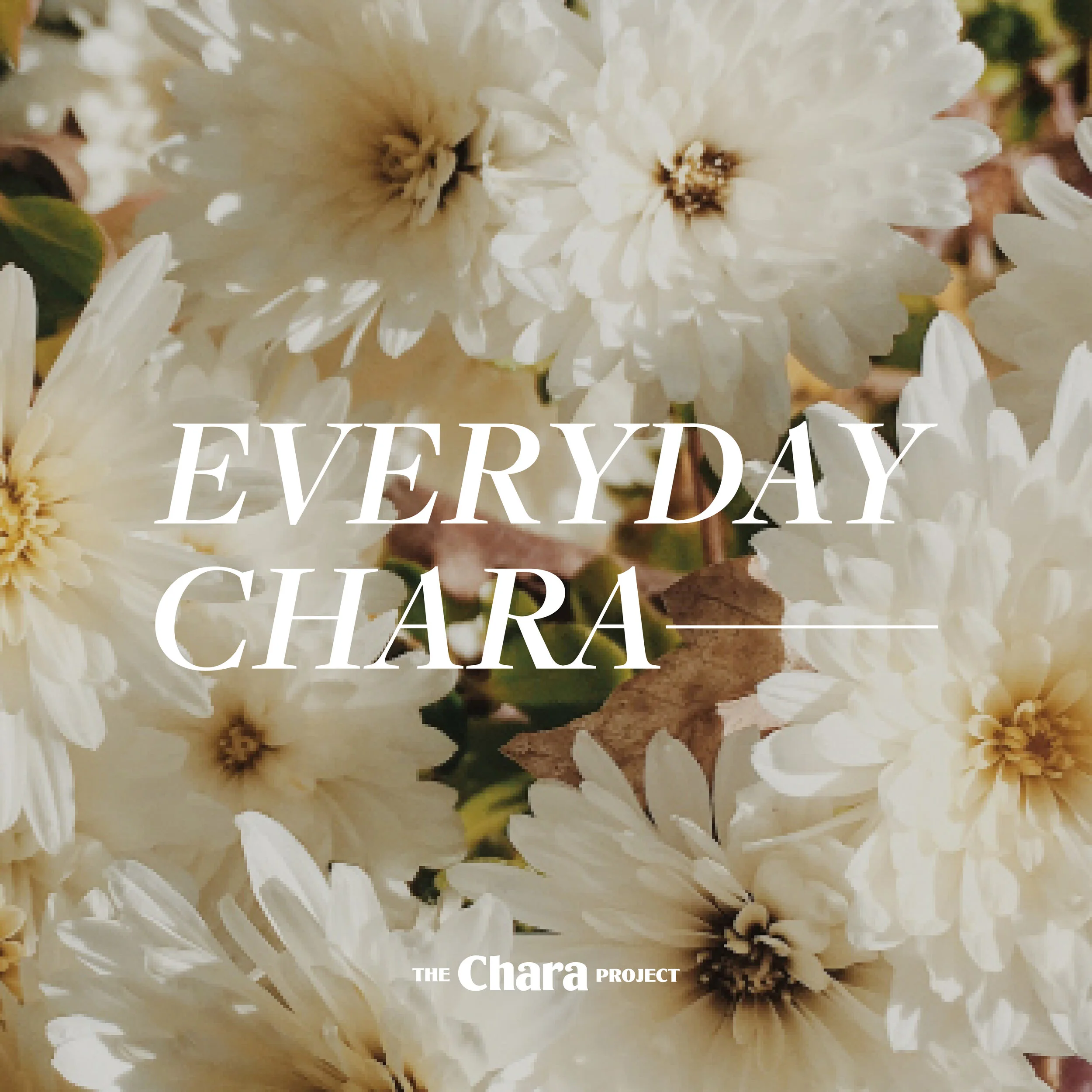 Chara Project Bible Studies and Reading Plans — The Chara Project