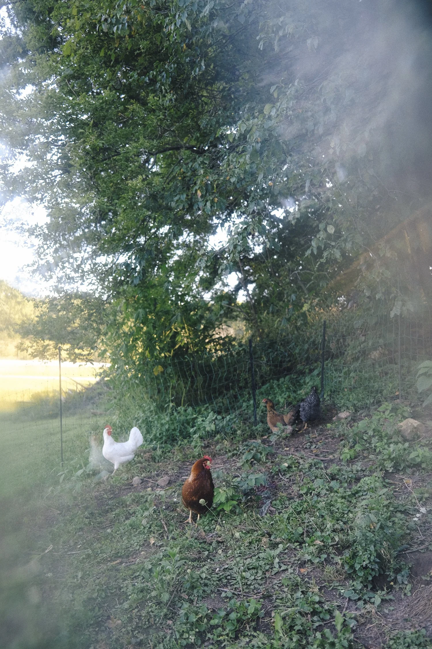 DSCF2359.jpg
