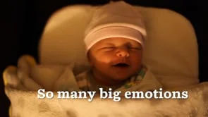 What's little things documentaries?