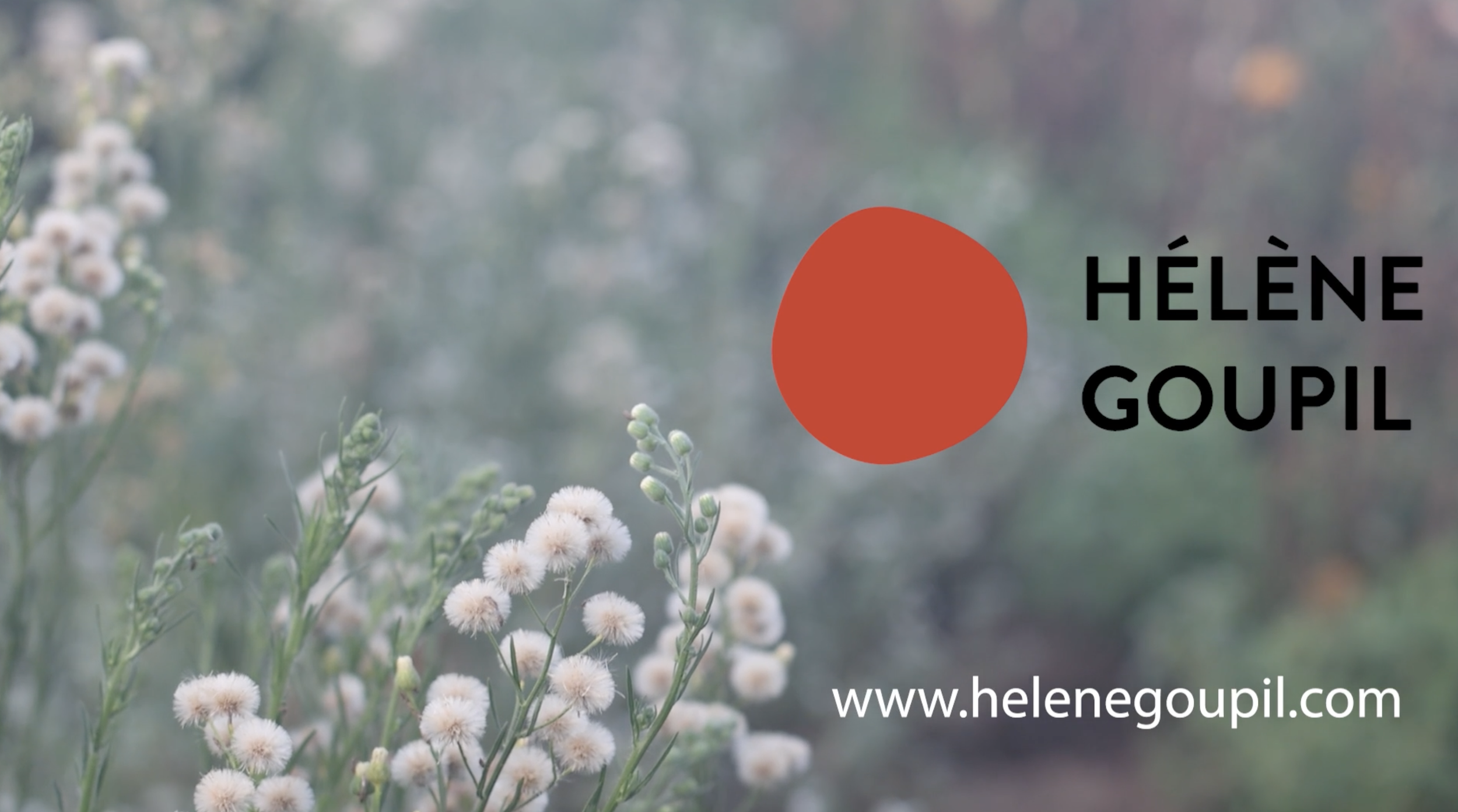 Helene Goupil editing reel