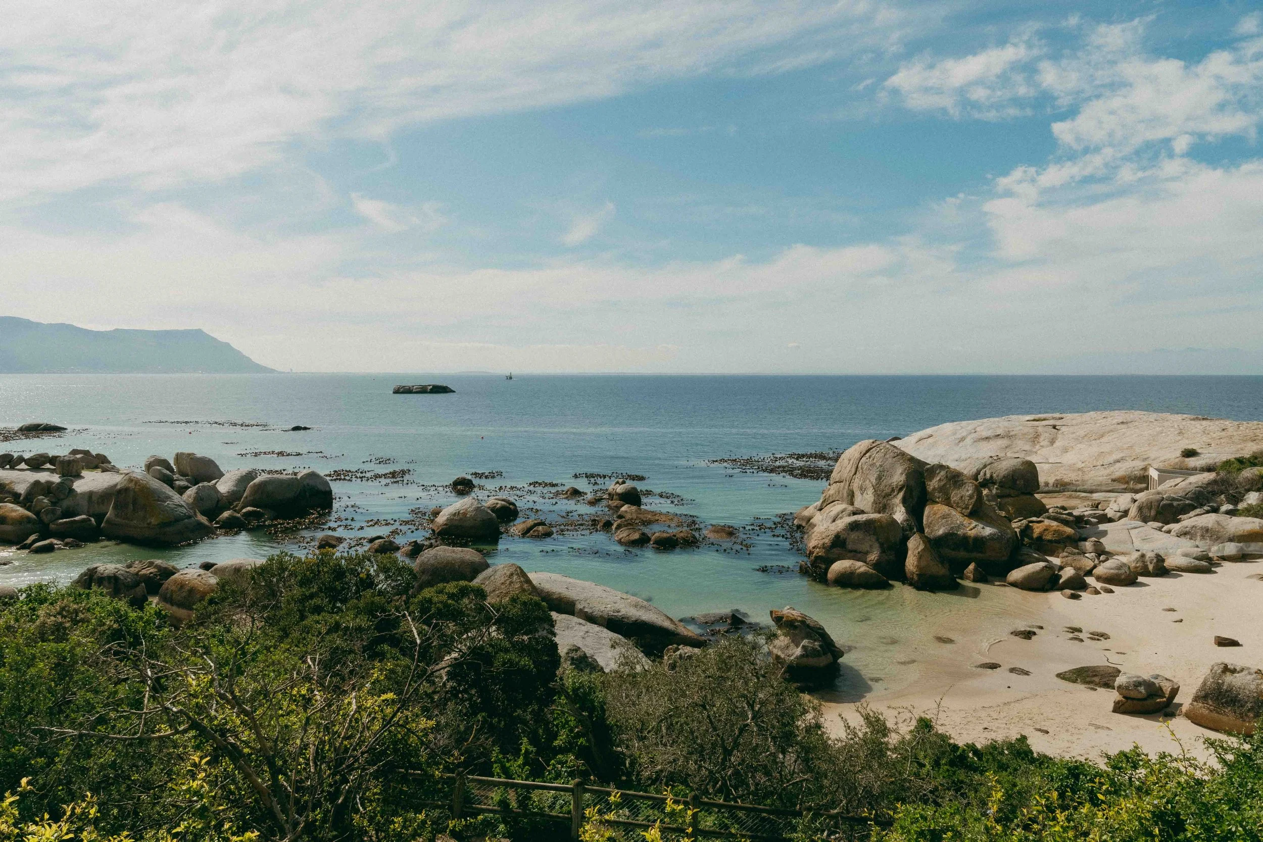 175 McFarlane-45.jpg