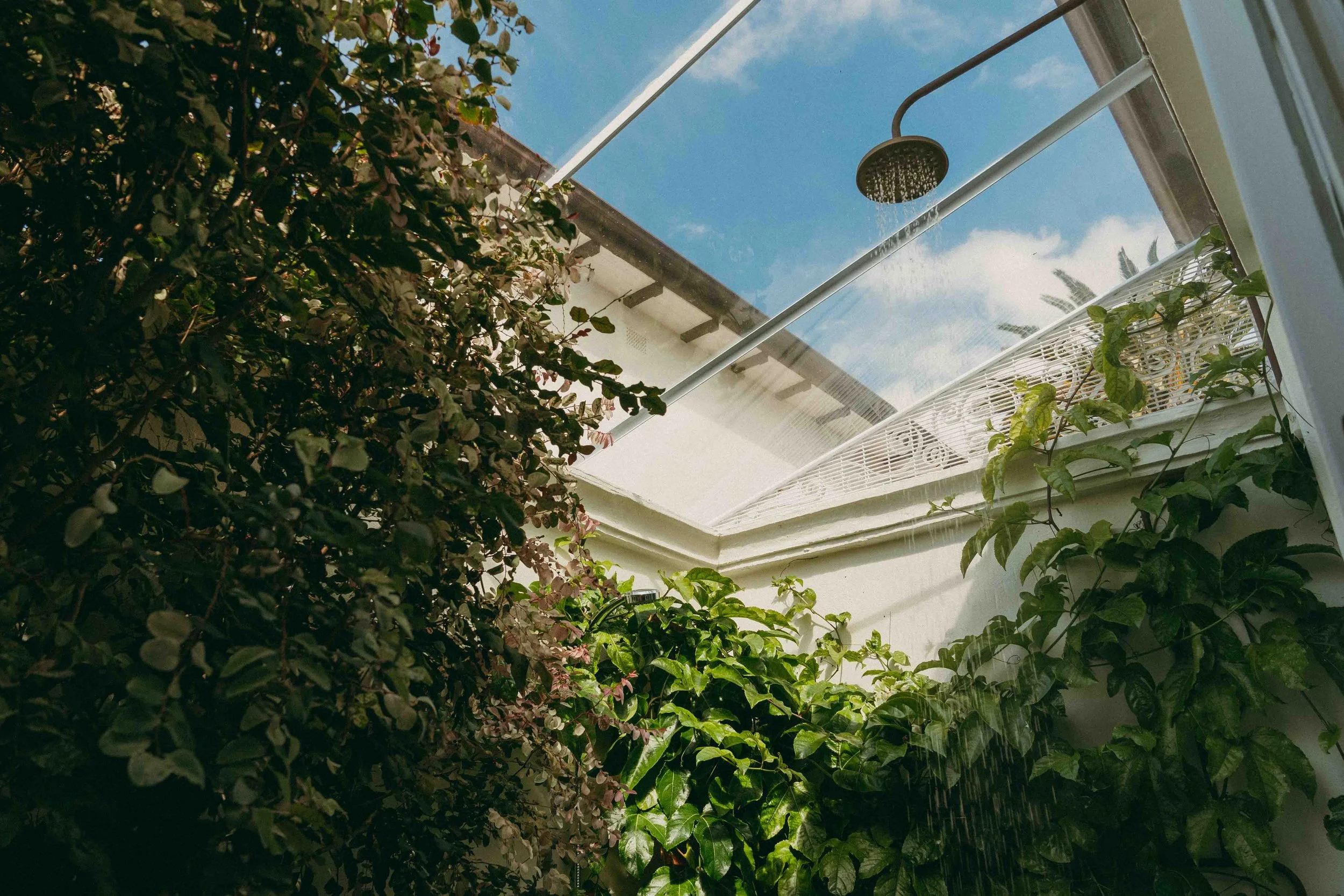 175 McFarlane-43.jpg