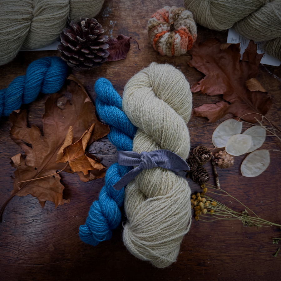 sock_set_willow_skies_nellie_and_eve.png