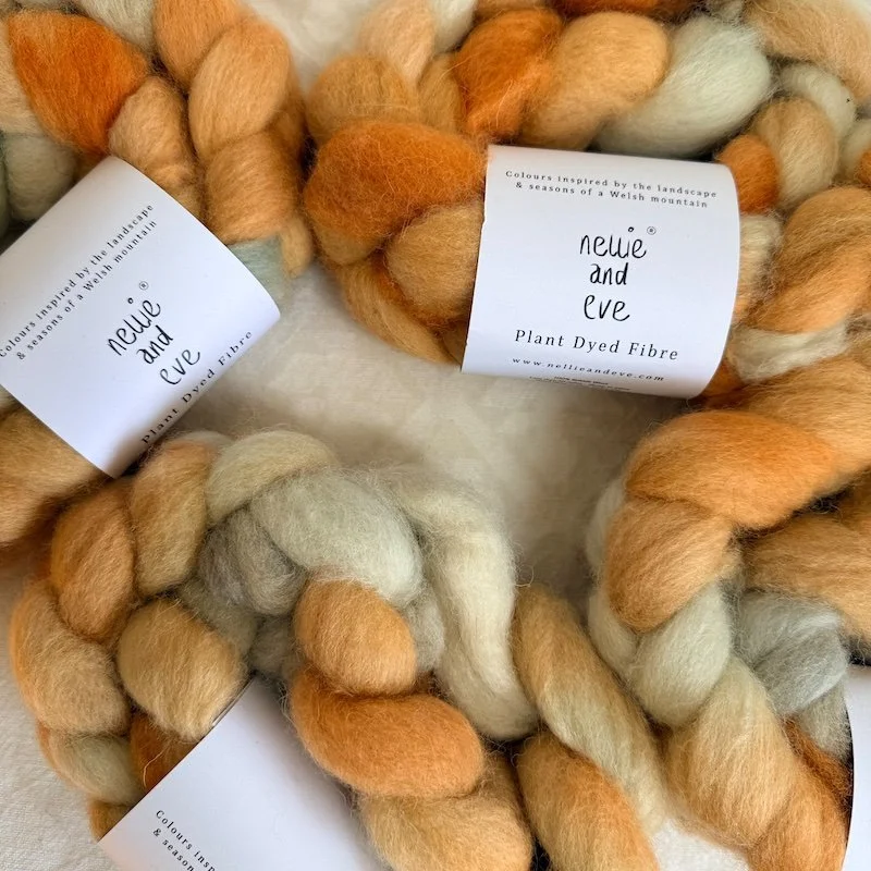 NEW Welsh Mule Fibre Tops - Sunrise