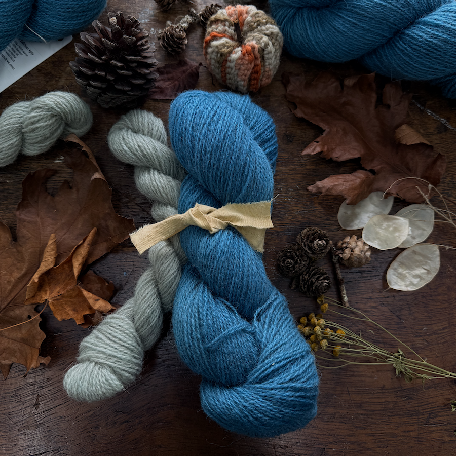sock_set_bird's_egg_blue_nellie_and_eve_1.png