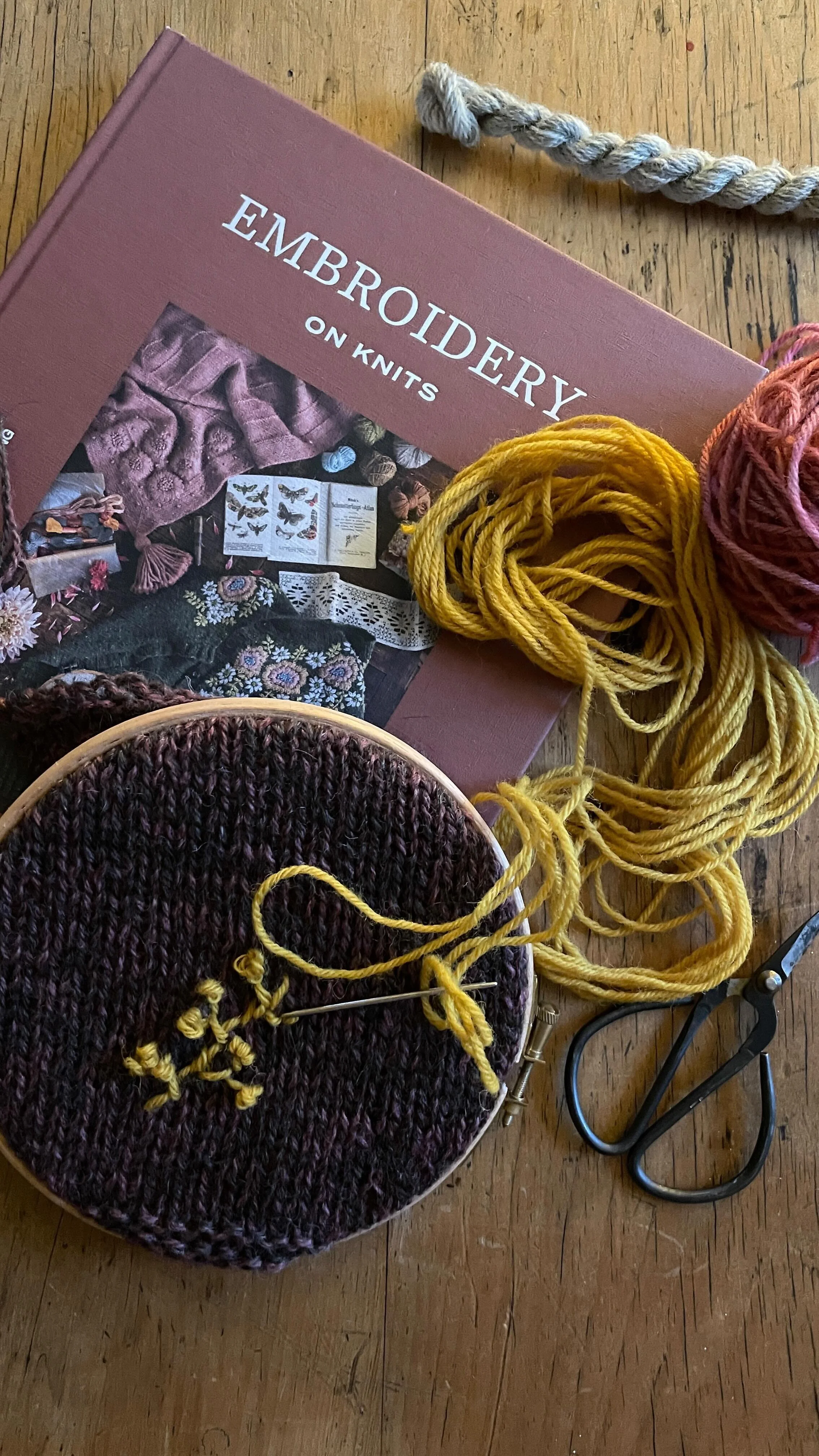 Gathering dye plants in the summer meadow — Nellie and Eve