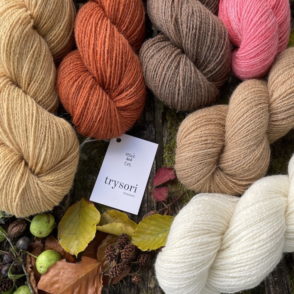 trysori_treasure_welsh_wool_nellie_and_eve.jpeg