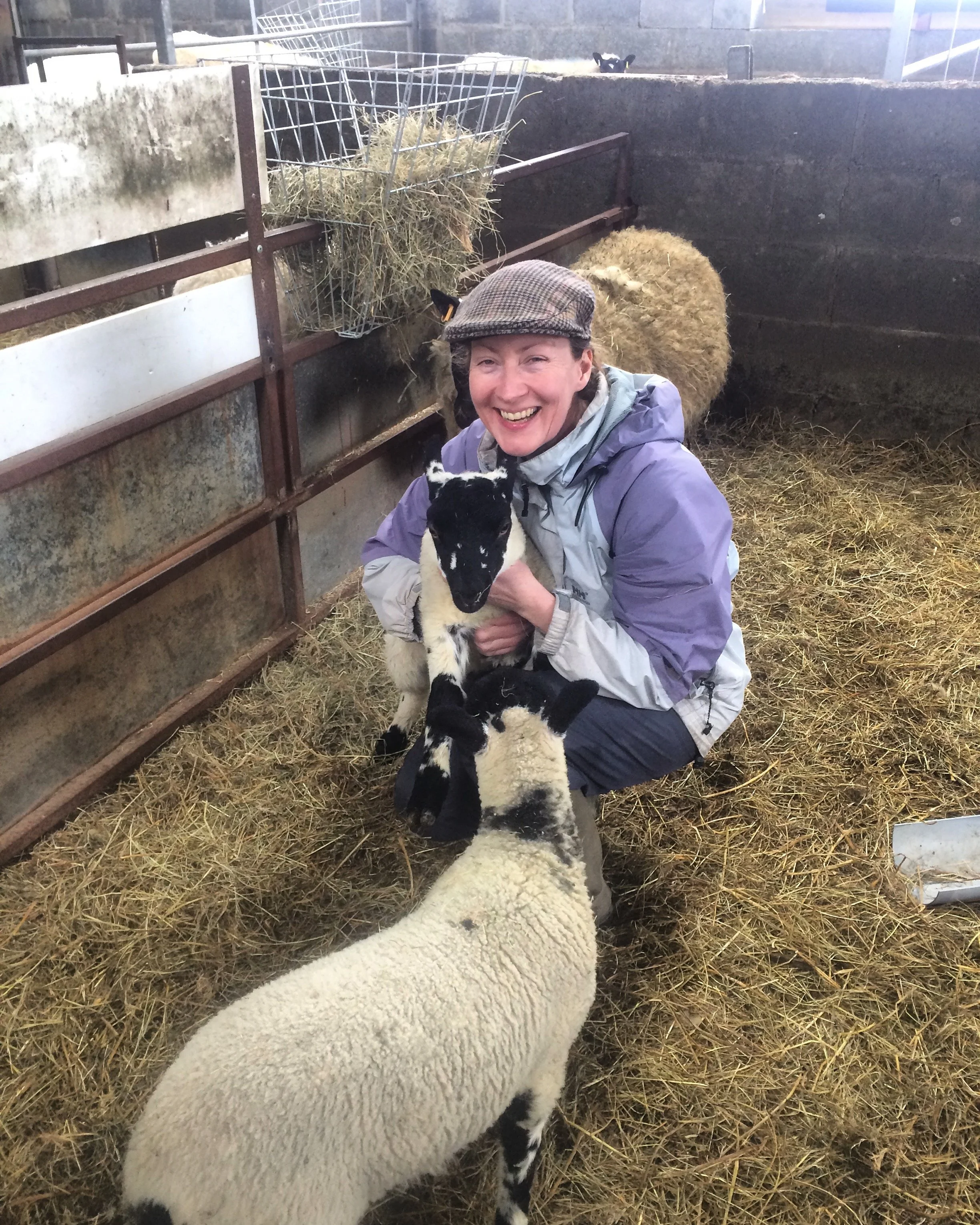 bottle_feeding_lamb_nellie_and_eve.JPG