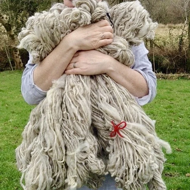 hand_spun_yarn_nellie_and_eve.jpeg