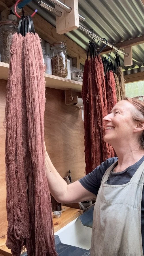yarns_in_dye_shed_nellie_and_eve.jpeg