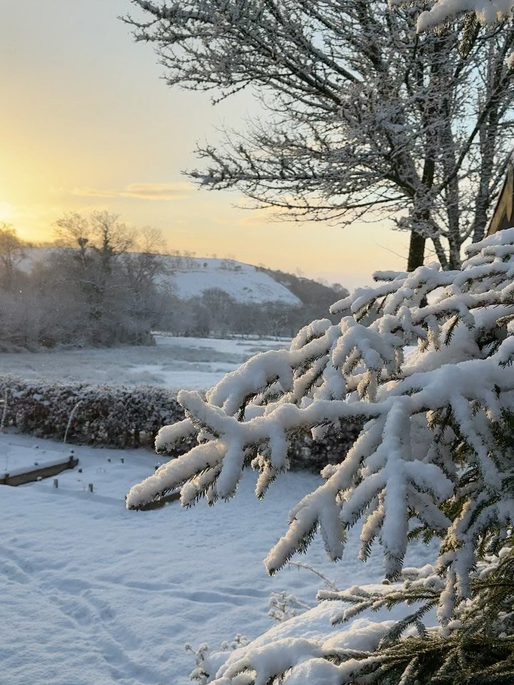 Some snowy scenes from the last few days. 6 inches of snow and minus 5 degrees by 6 pm. An icy night ahead means we'll be staying put. We've got everything we need &ndash; food, firewood, and knitting. They will be a thaw at some point! 
Hope you're 
