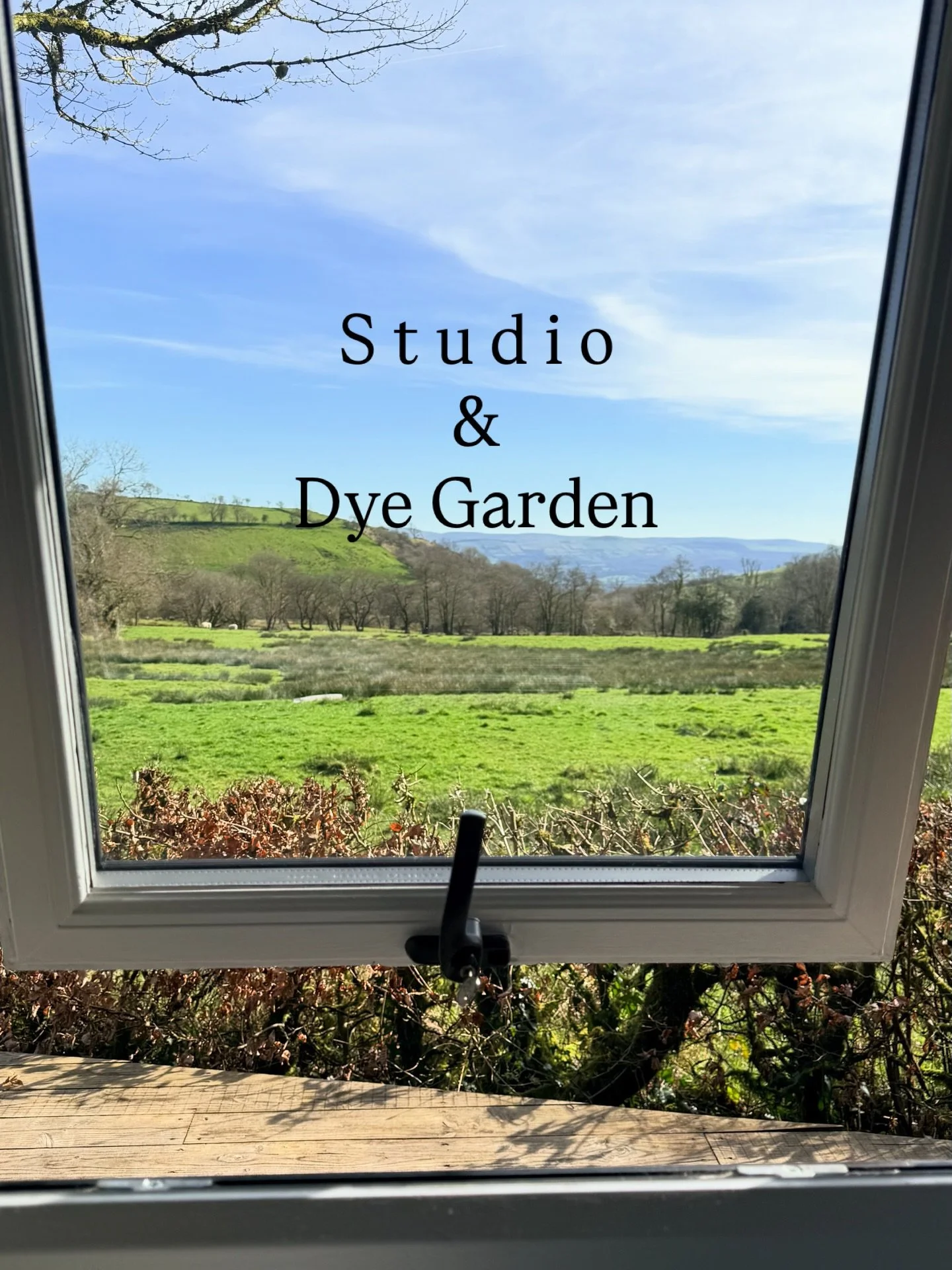 A long awaited sunny spring day &amp; the studio windows have been flung open! 
Plans are being hatched for the dye garden &amp; spring colour ways on a new &lsquo;guest&rsquo; yarn base which I can&rsquo;t wait to show you.
Happy Spring 🌱

#nelliea