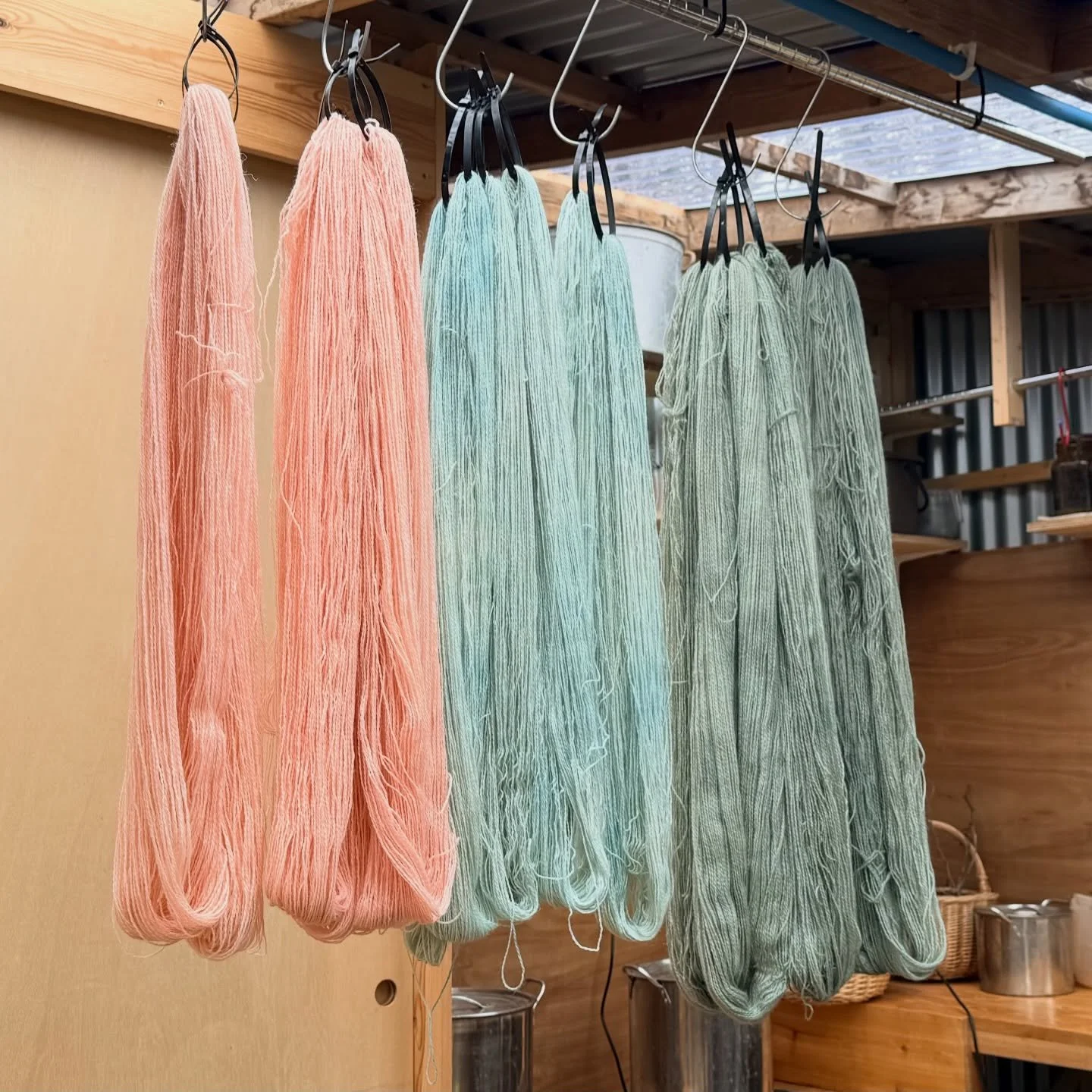 The drying cupboard is full so these beauties are hanging in the warm air of the dye shed.
Sneak peek glimpse of colour ways coming to @wonderwoolwales &amp; @the_big_flock_bristol 

#nellieandeve #plantdyedyarn #welshwool #dyestudio