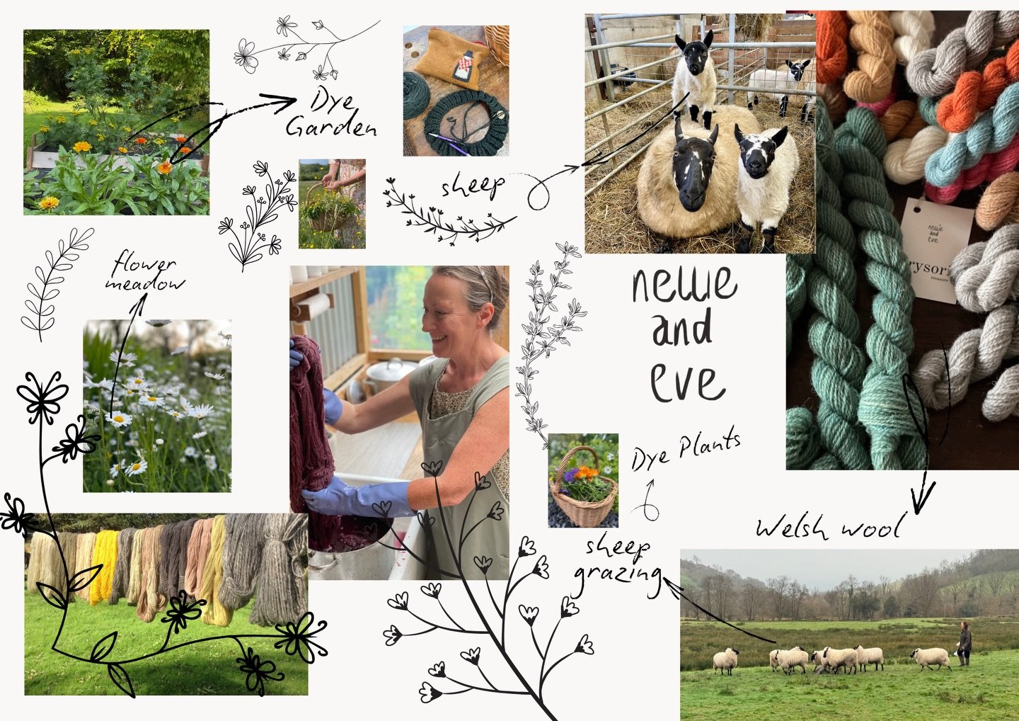 My little corner of the world where sustainability is at the heart of my business. My mood board showcases the beautiful sheep that inspire my brand, and the natural dyes that bring their fleece to life in a way that's gentle on the planet 🌱

#nelli