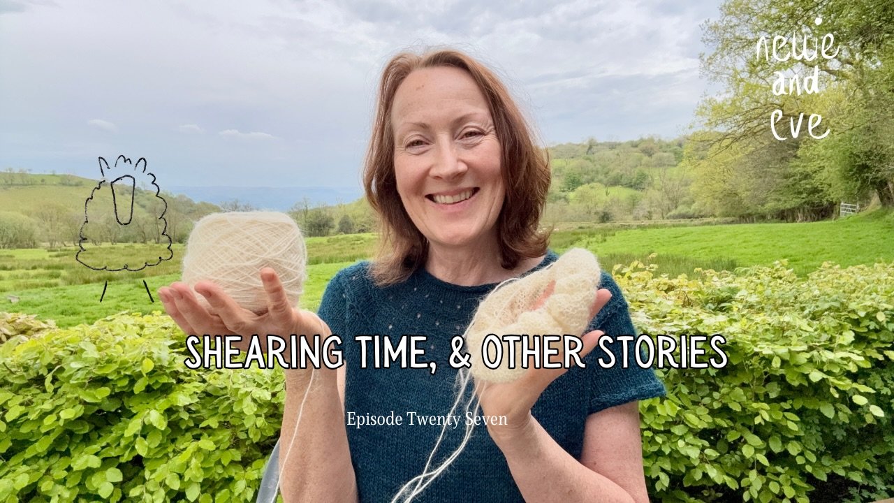 New episode of the podcast is live!
Chats about finished garments, Wonderwool acquisitions &amp; Nancy &amp; Nellie get sheared!
Essential rainy bank holiday viewing 😉😆

#nellieandeve #plantdyedyarn #podcast #shearing
